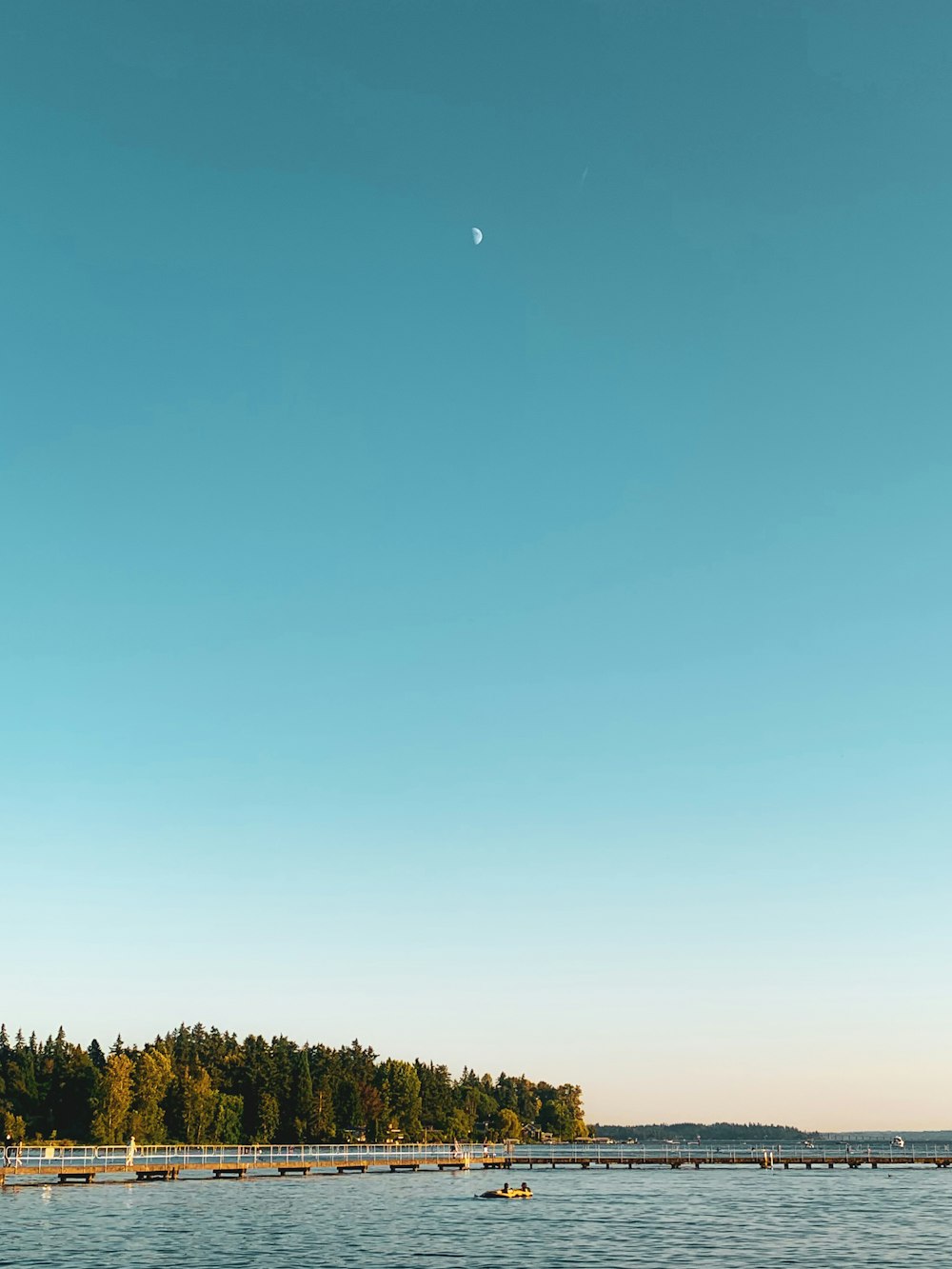 a body of water with trees in the background