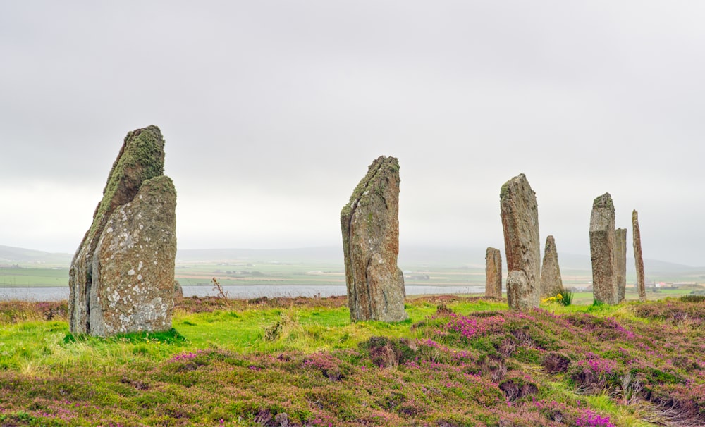 a group of rocks sitting on top of a lush green field