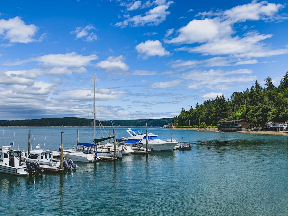 a group of boats are docked in the water