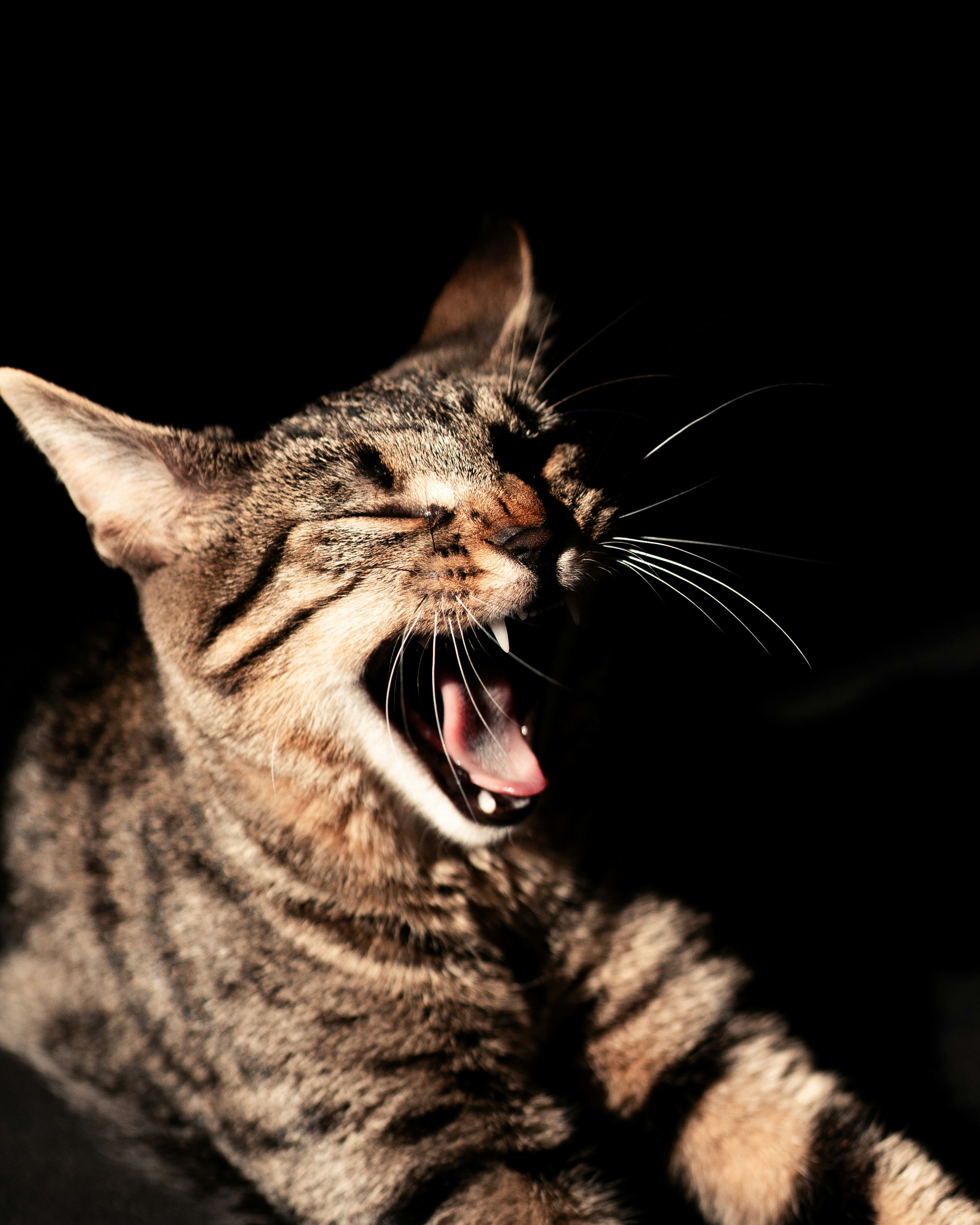 Photo by gianlucaobe