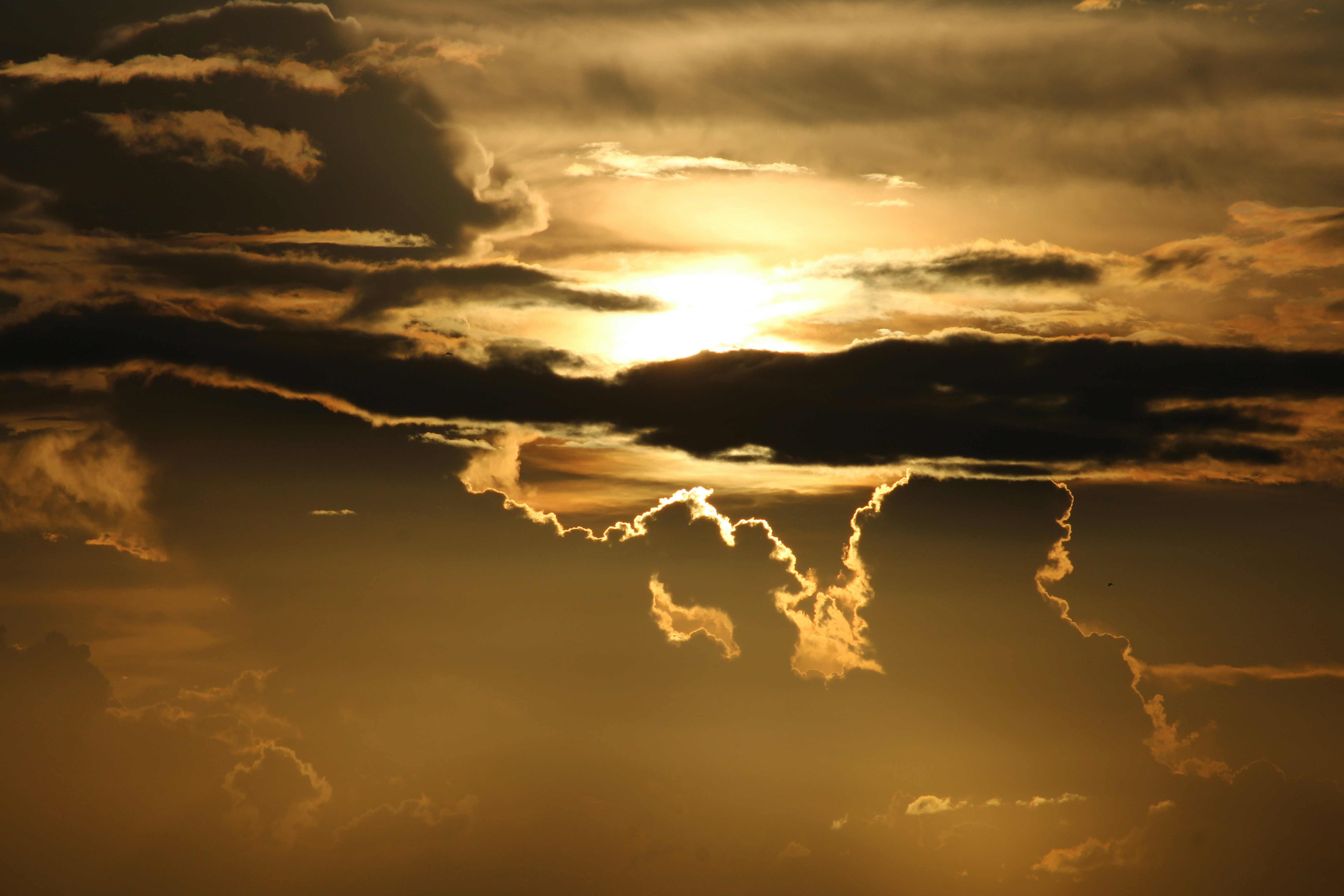 Photo by photoloveramico