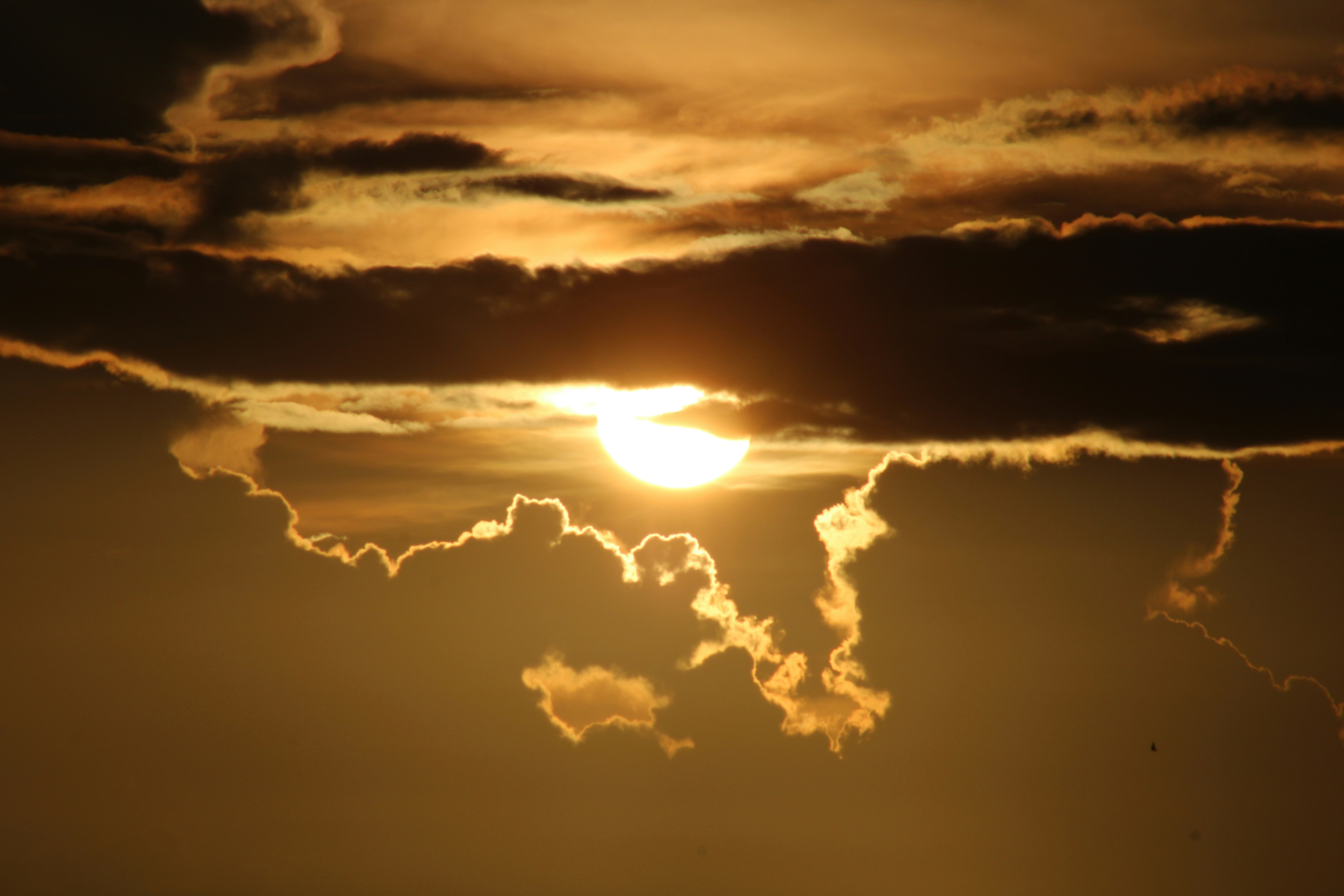 Photo by photoloveramico