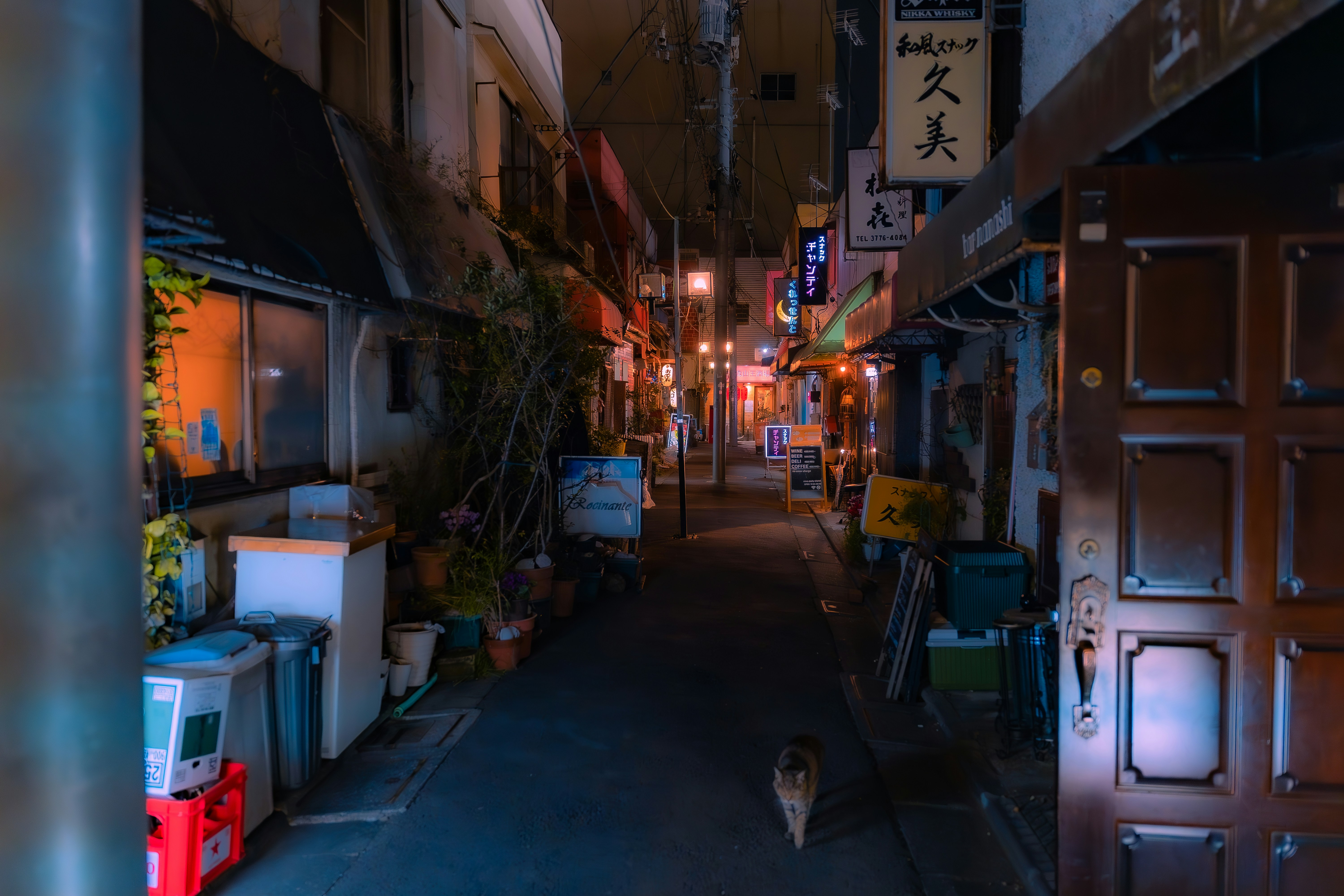 Photo by mosdesign