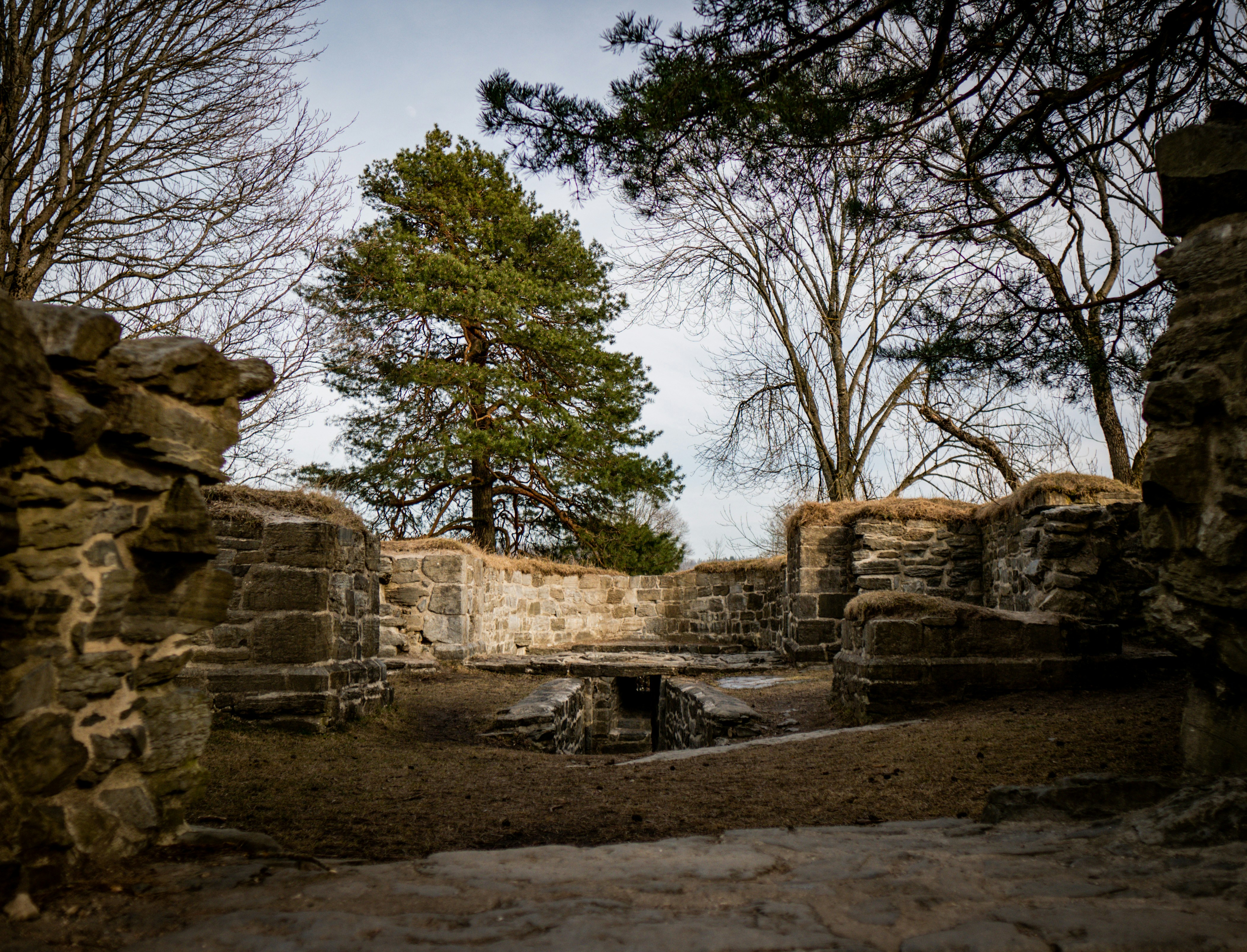 Photo by stripemedia