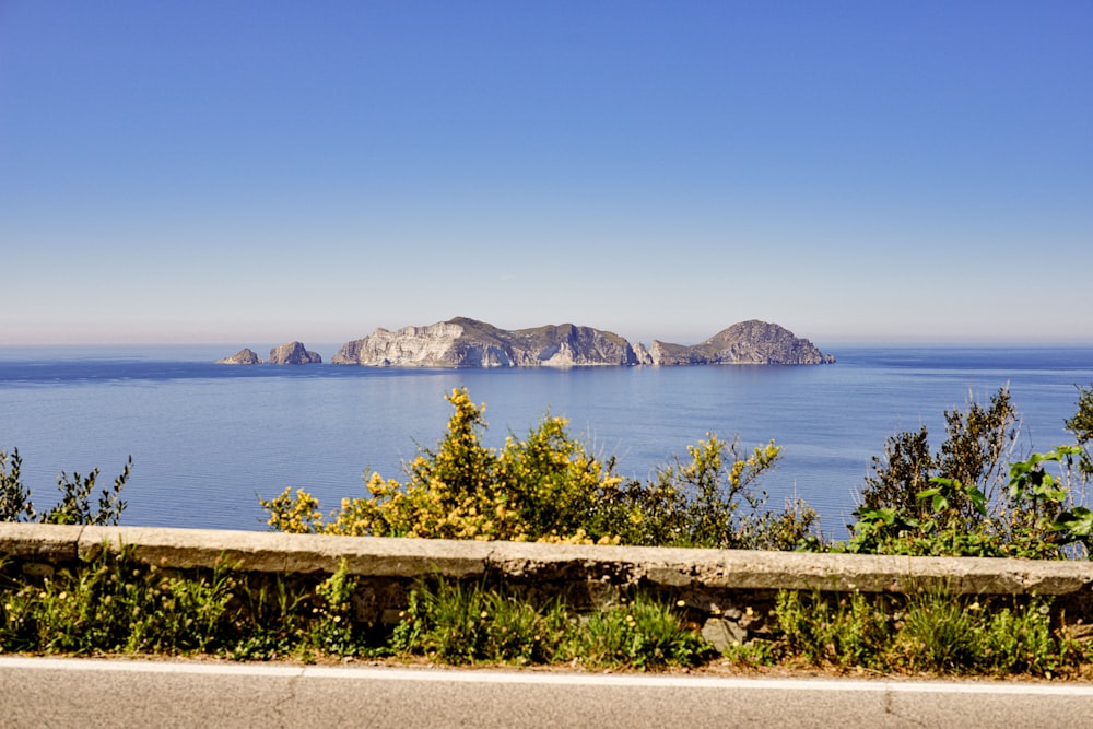 a bench sitting on the side of a road next to a body of water