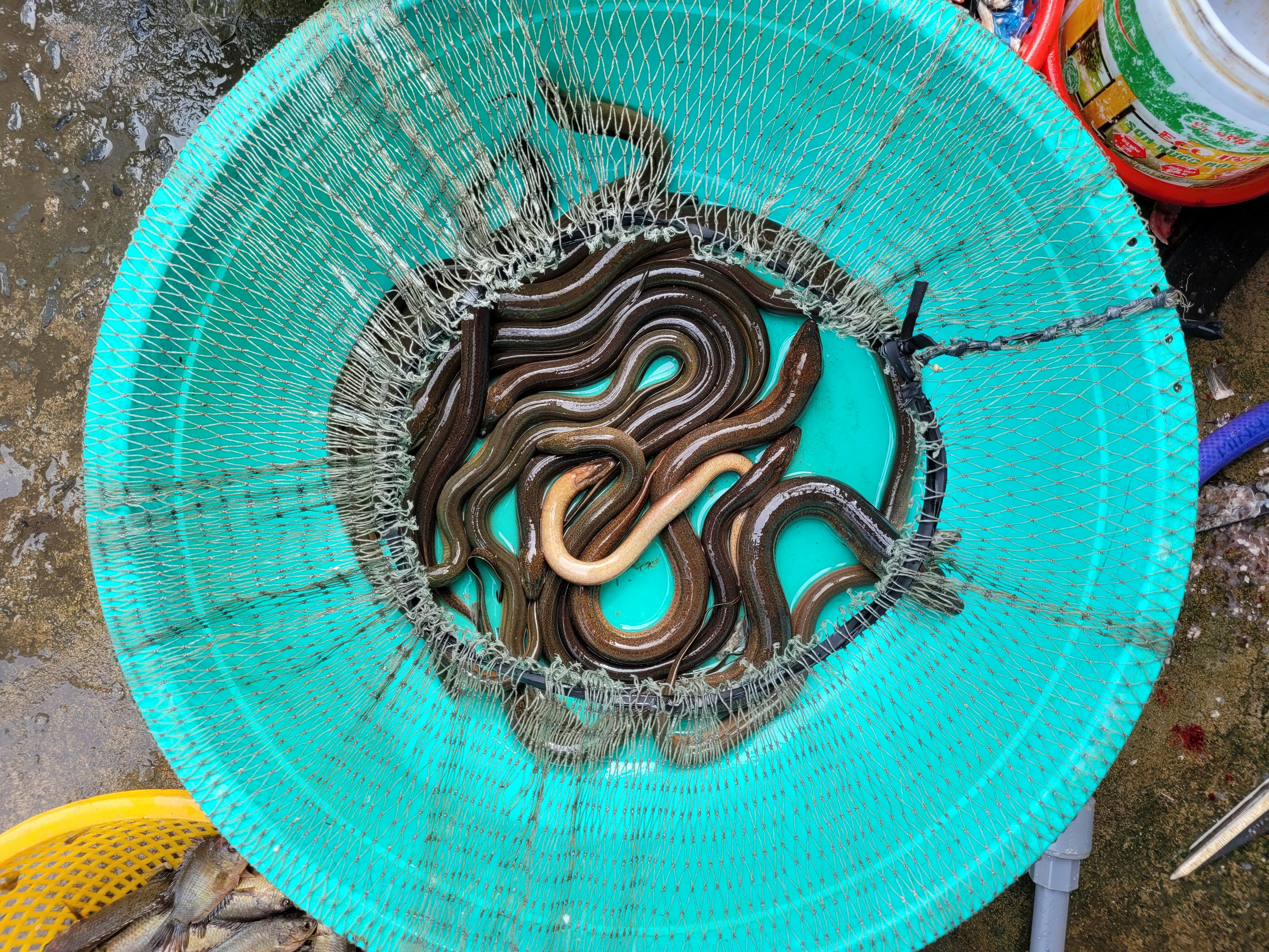 imagem de pessoa no computador