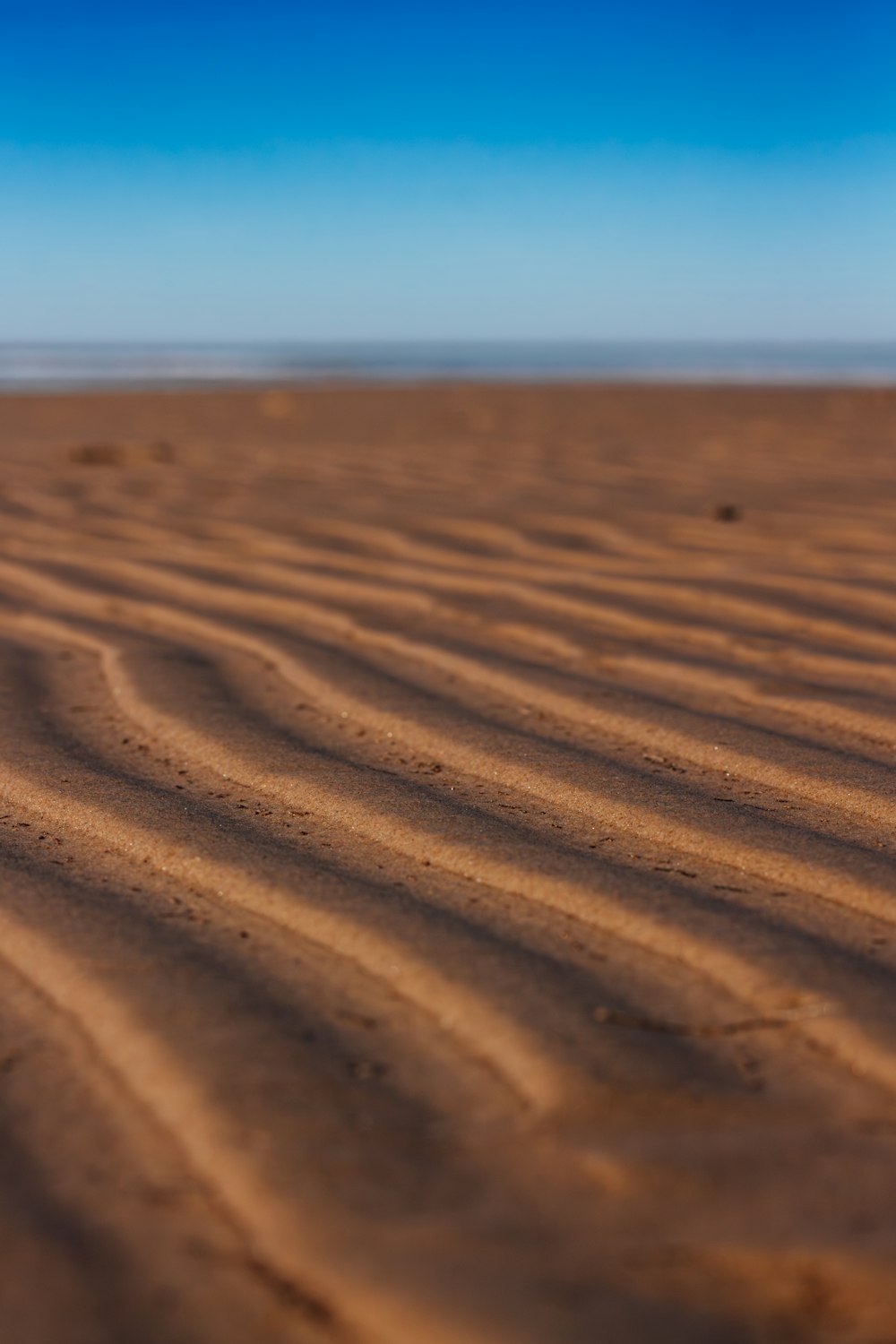 砂浜のぼやけた写真