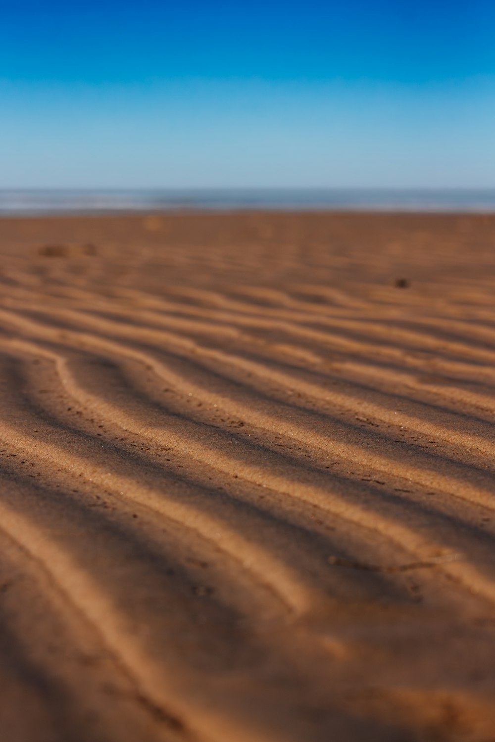 a blurry photo of a sandy beach