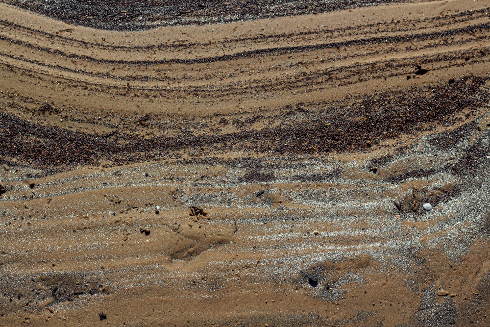 a bird flying over a sandy beach covered in sand