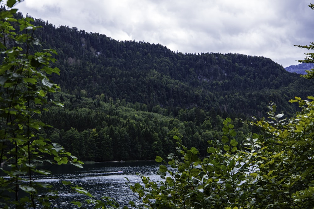 a lake surrounded by trees and mountains under a cloudy sky