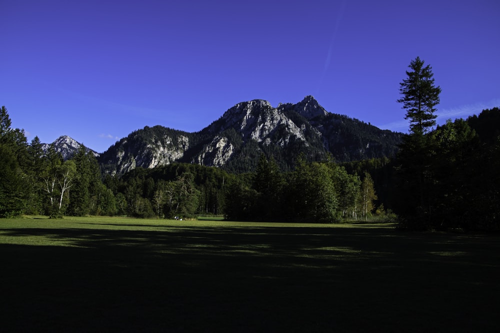 a grassy field with mountains in the background