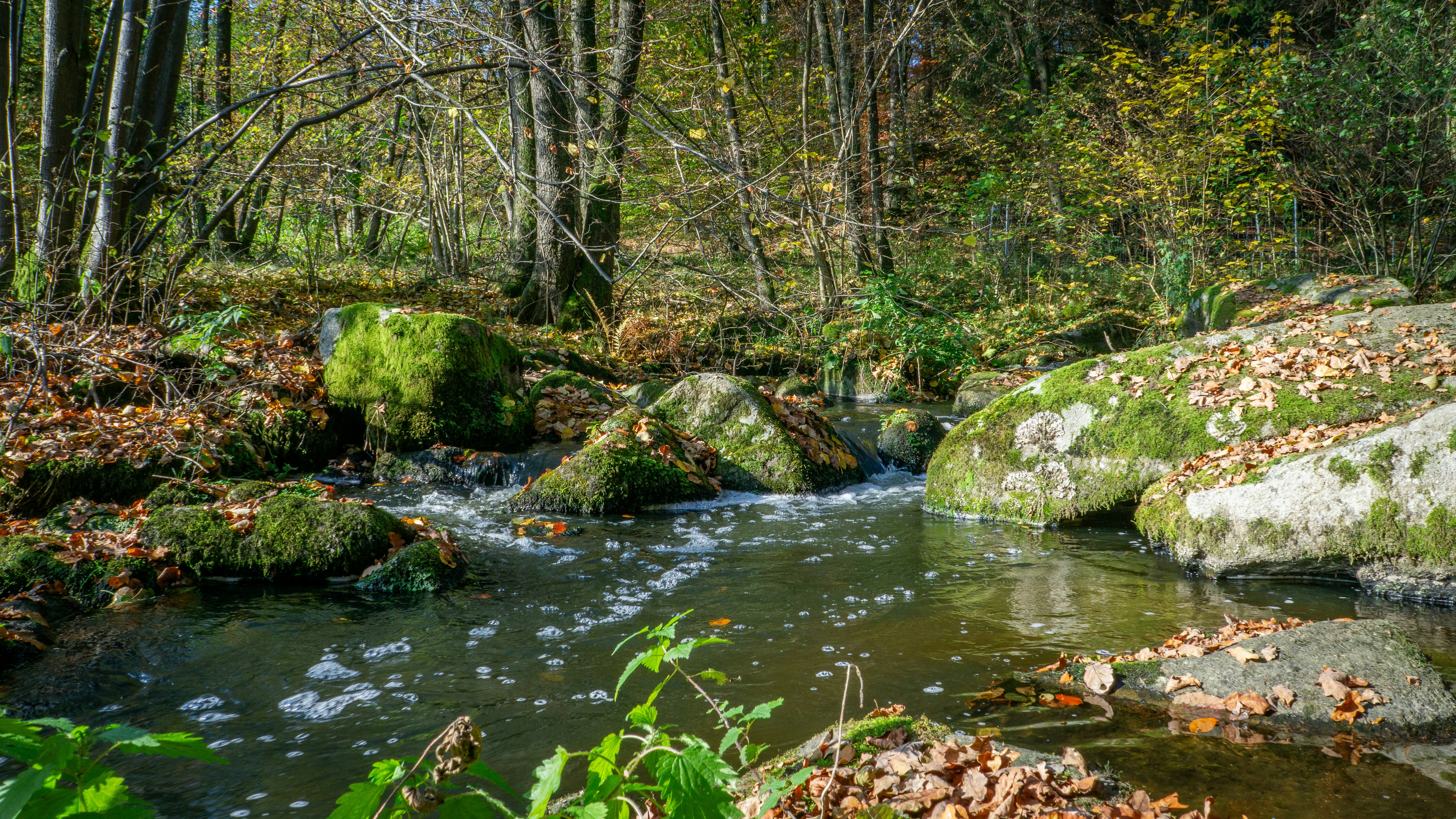 Photo by magictravel