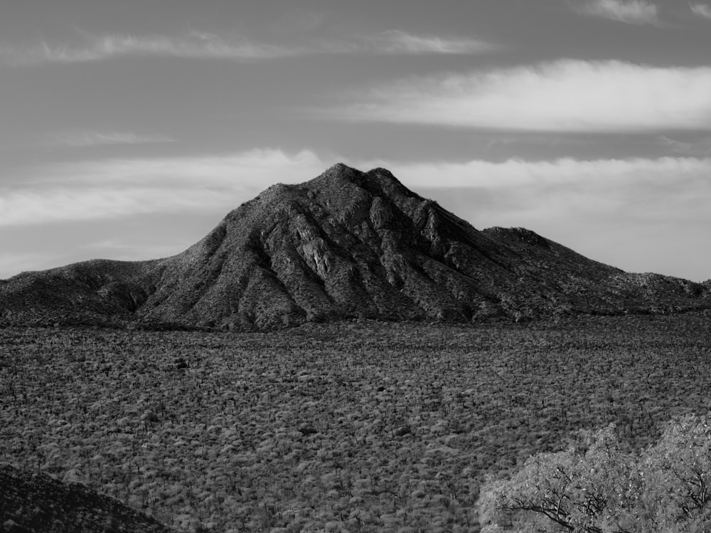 a black and white photo of a mountain range