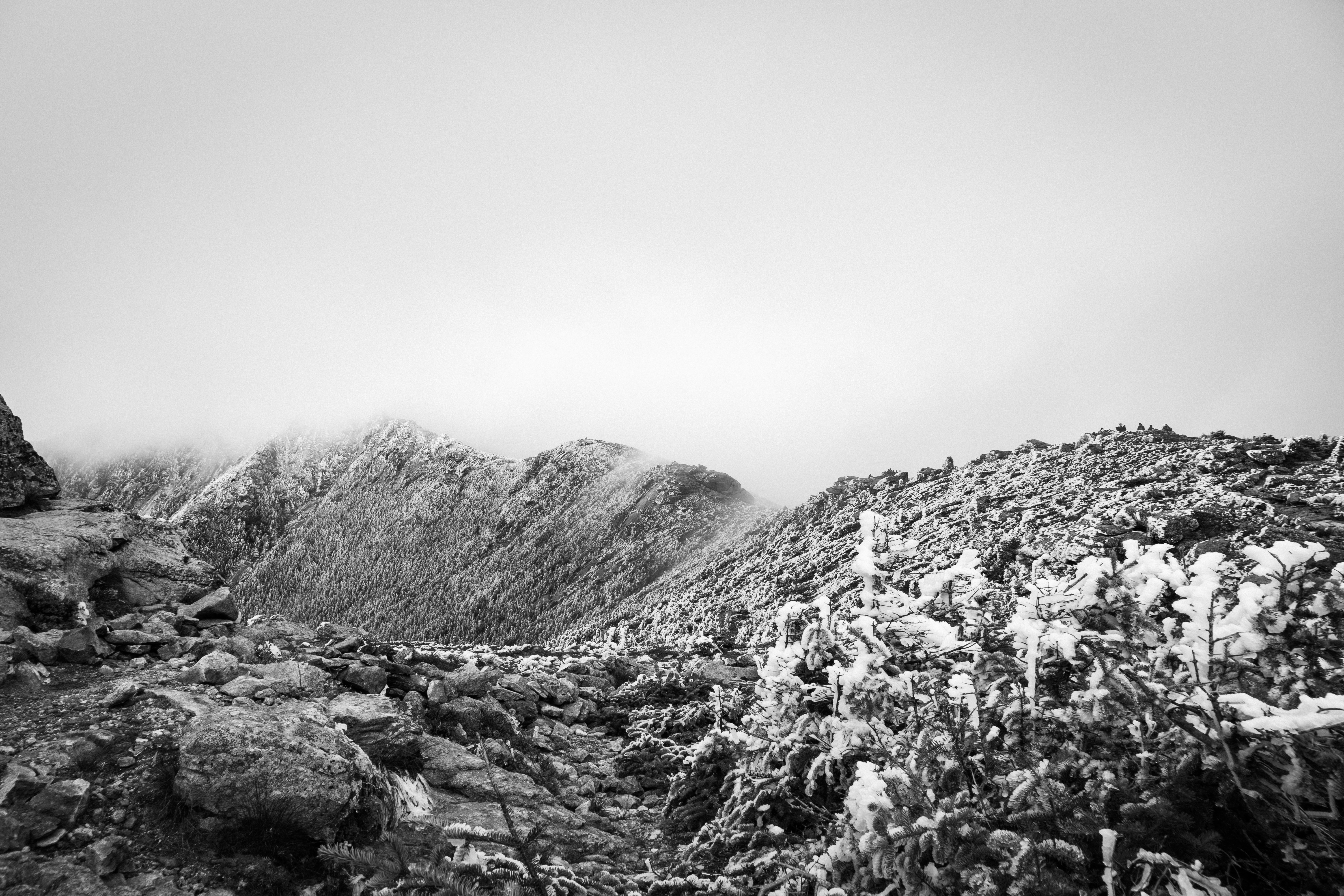 Photo by rserrasouza