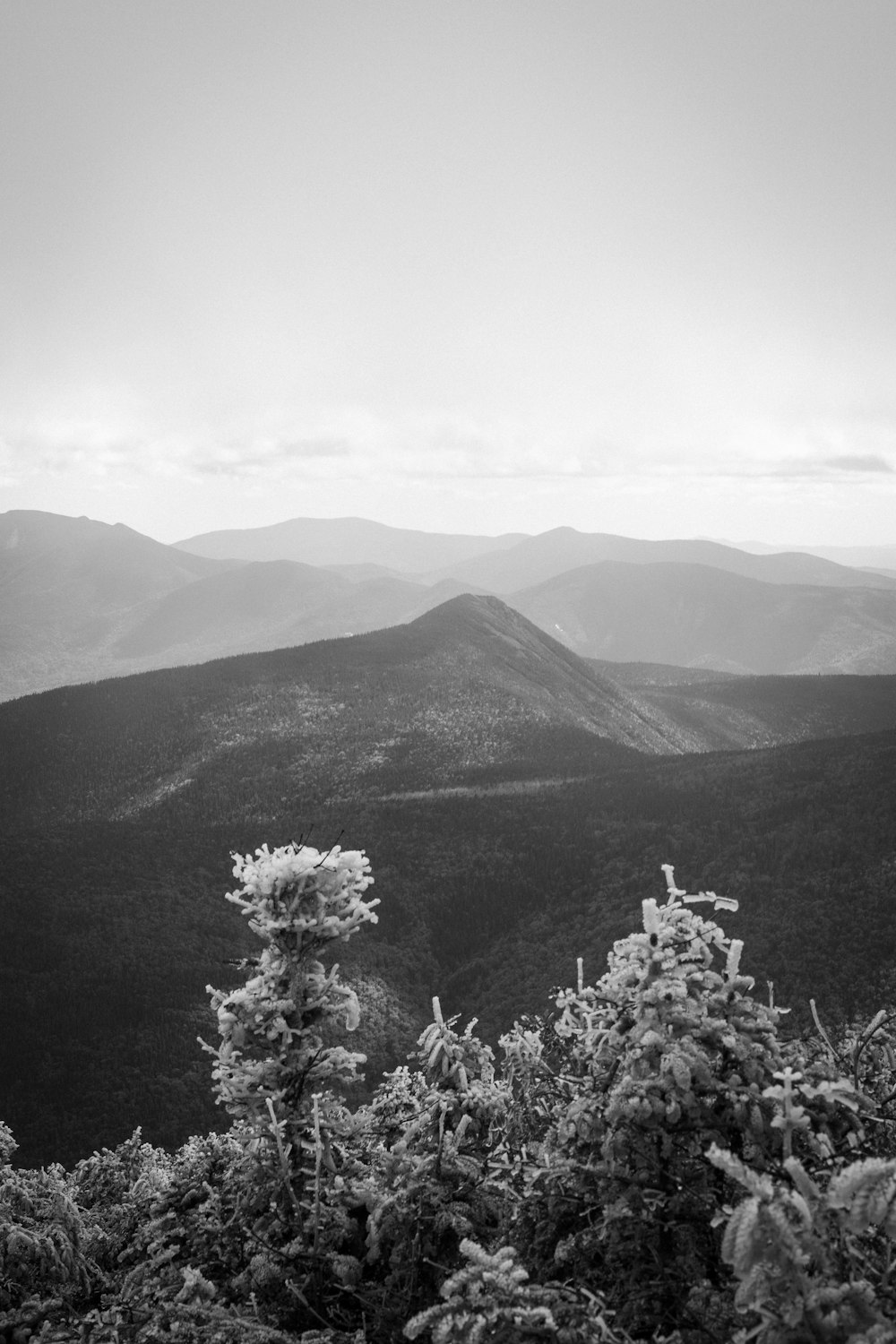 Una foto in bianco e nero di una catena montuosa