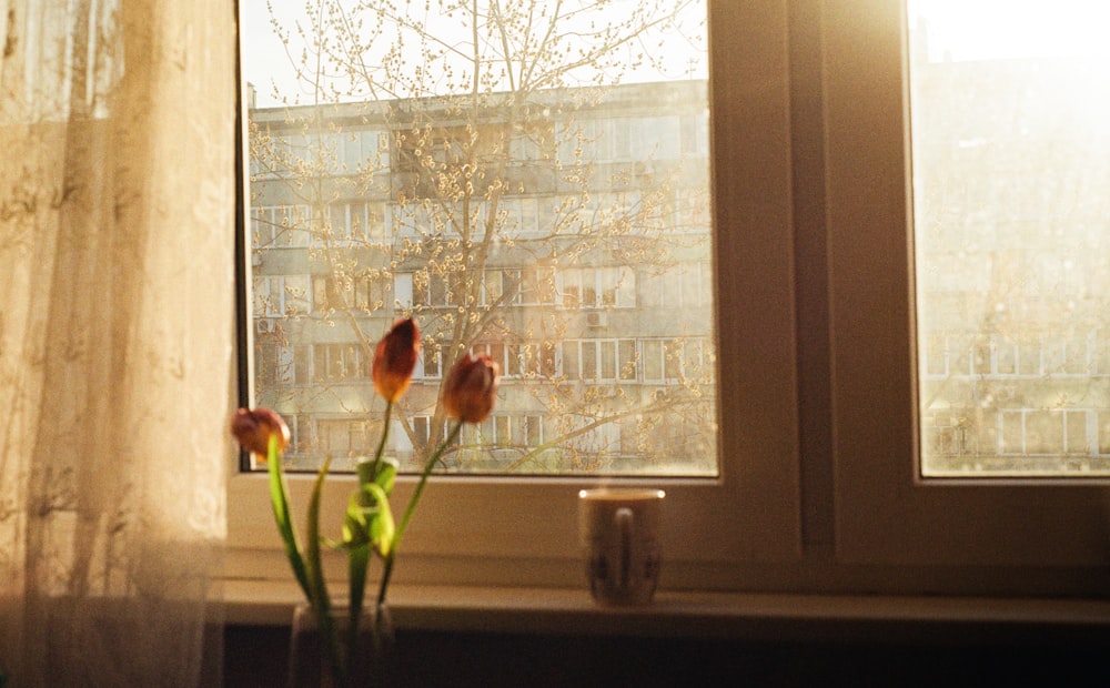 Un vaso di tulipani si trova davanti a una finestra