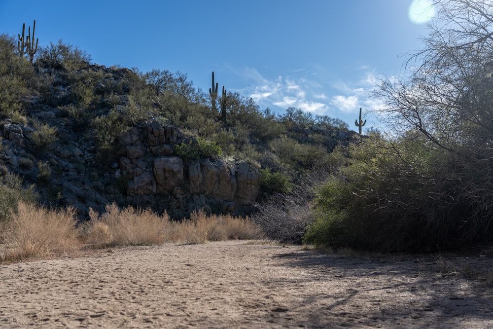 the sun shines brightly on a desert landscape