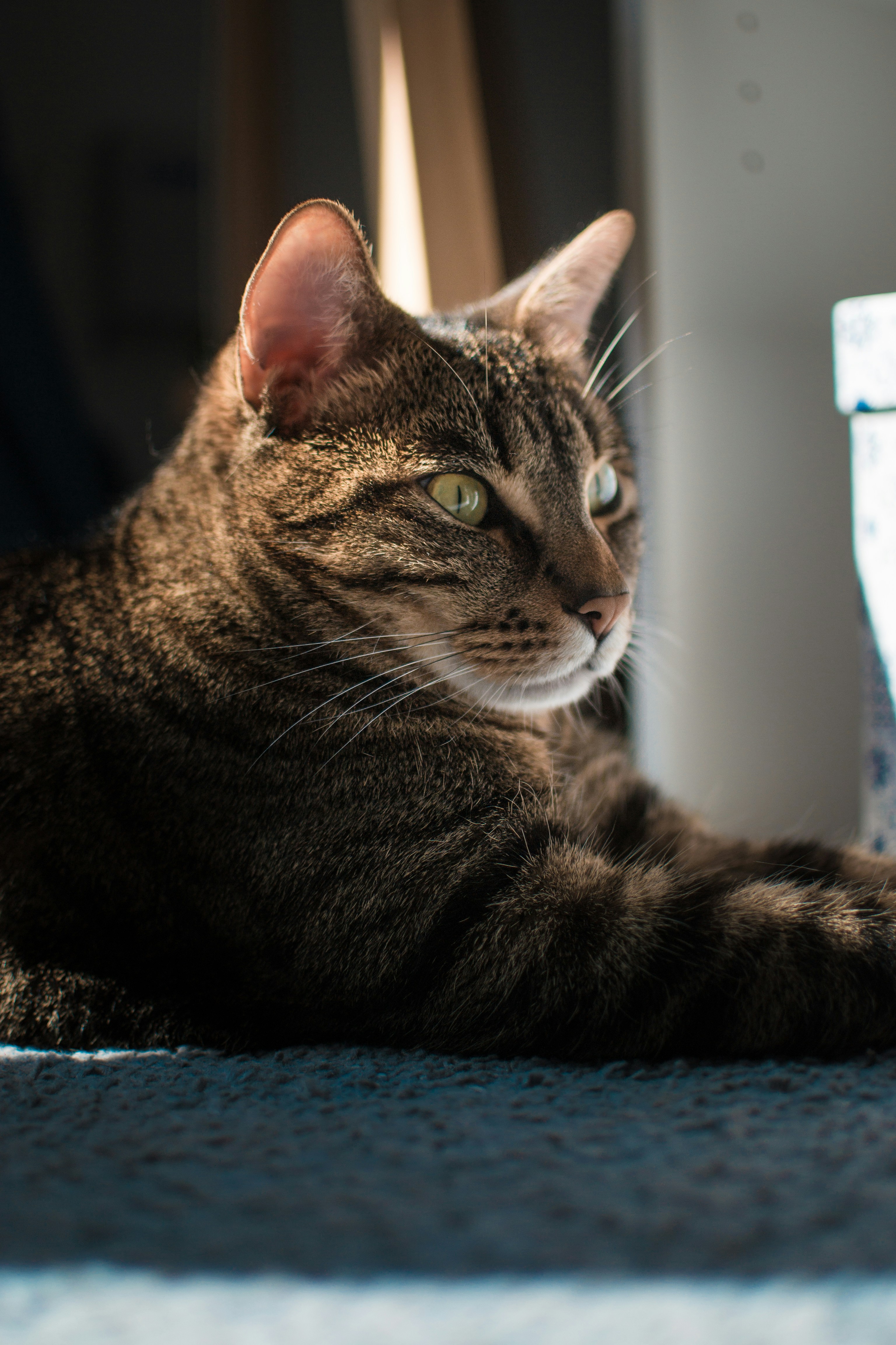 Photo by diseniatica