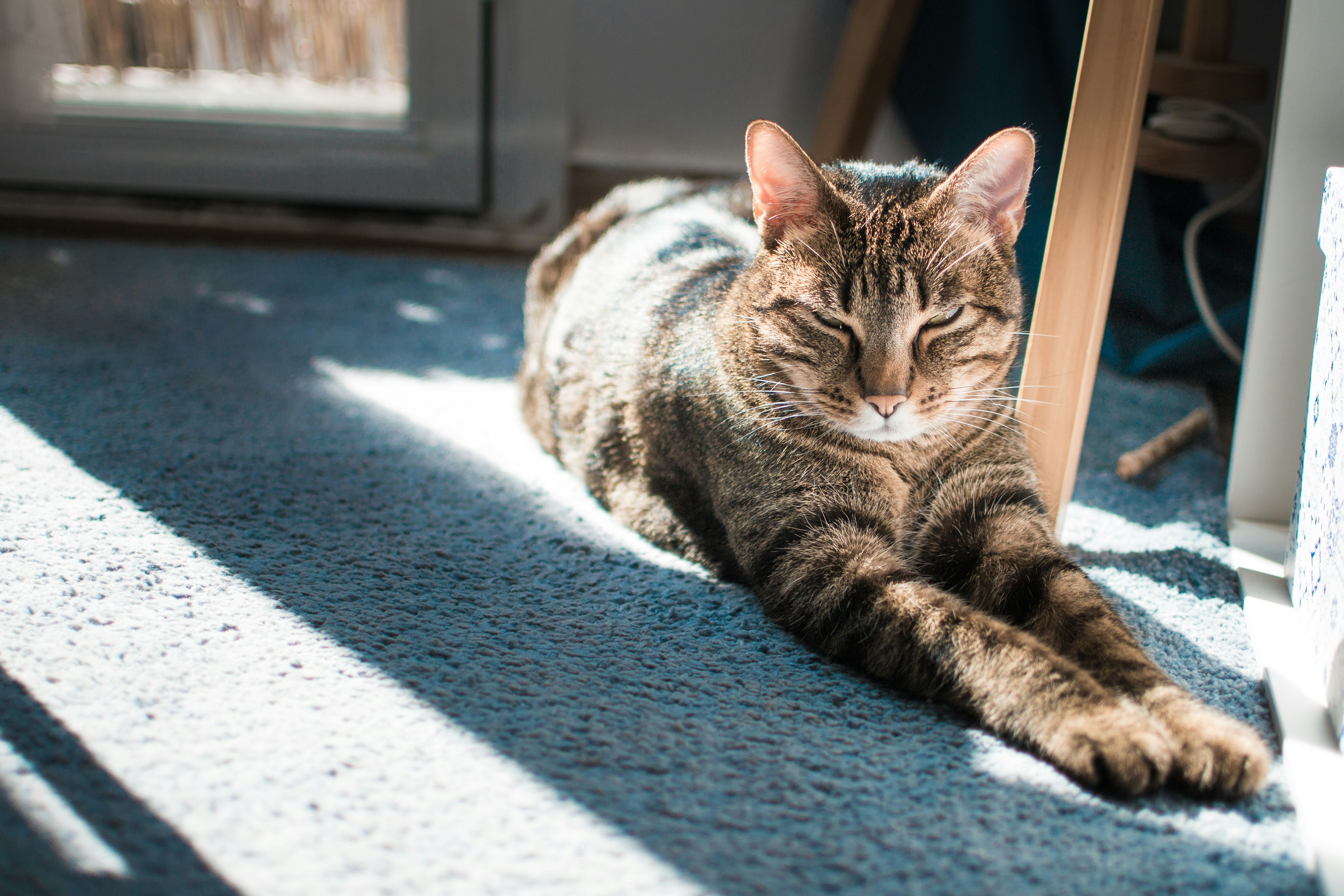 Photo by diseniatica