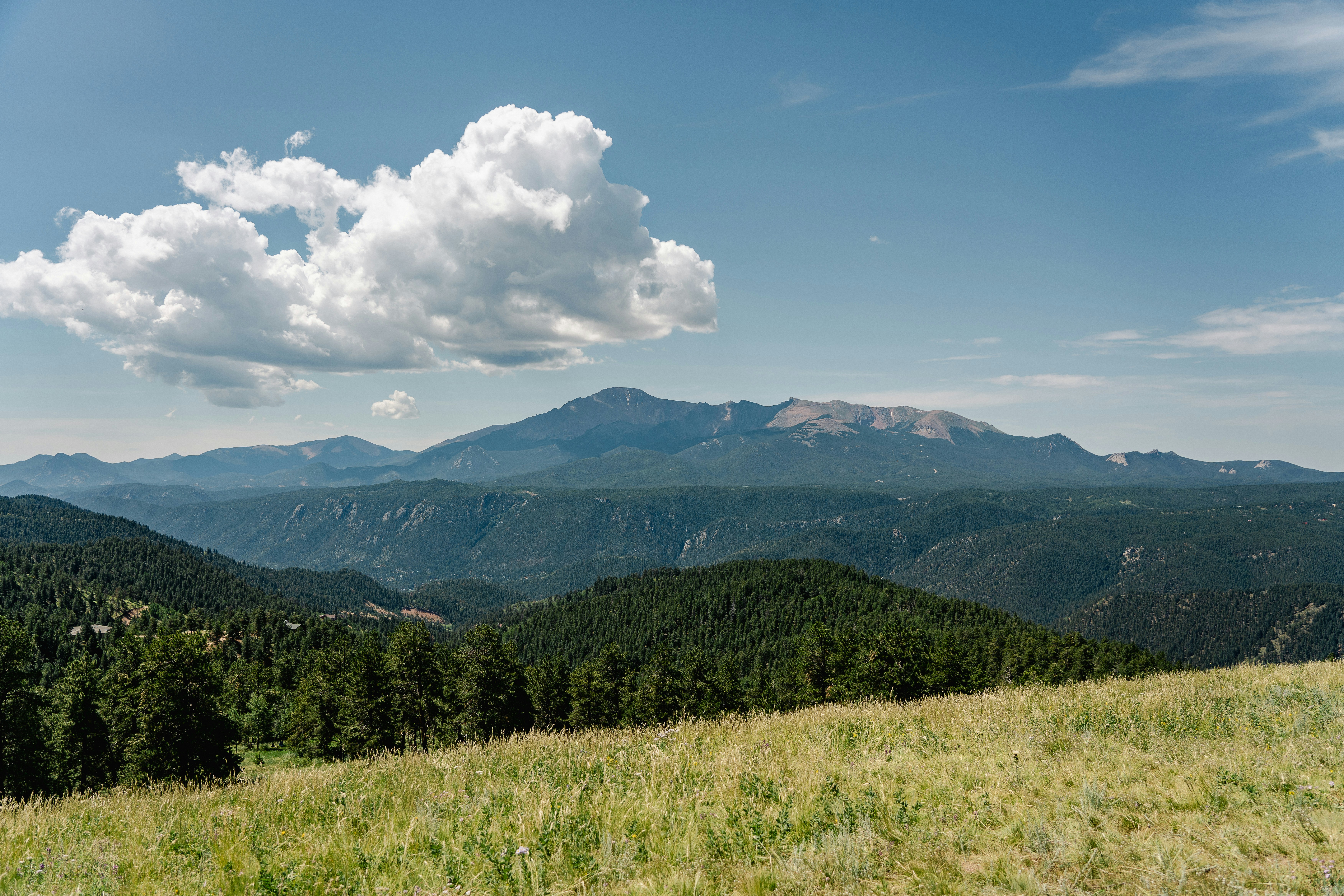 a grassy field with mountains in the background, 