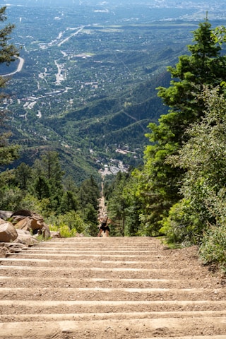 a person walking up a set of stairs in the mountains