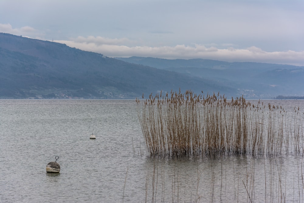 a large body of water with a boat in it