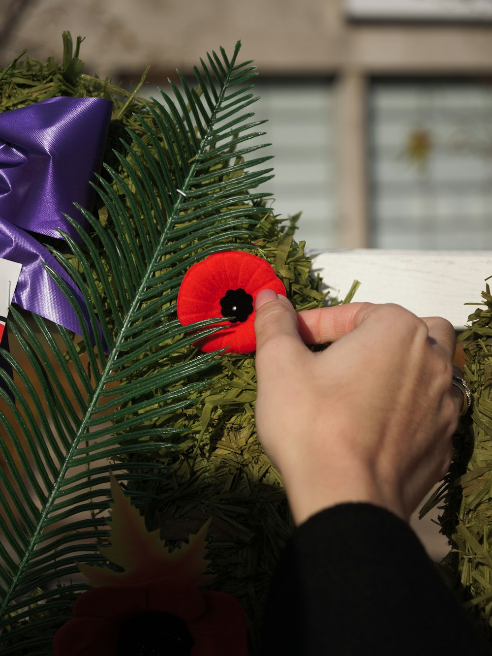 a person placing a red poppy on a wreath