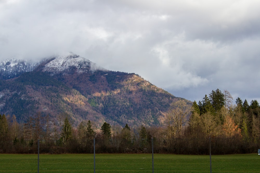 a field with a fence and a mountain in the background