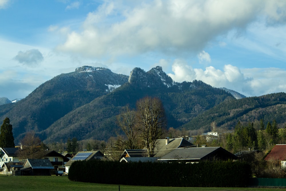 a green field with houses and mountains in the background