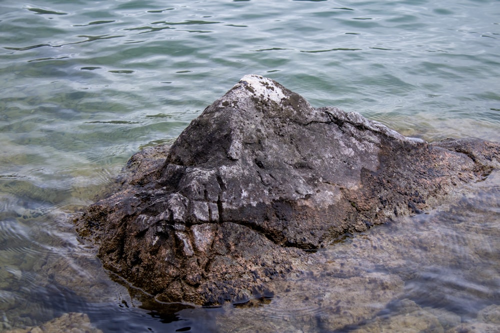 a rock in the middle of a body of water