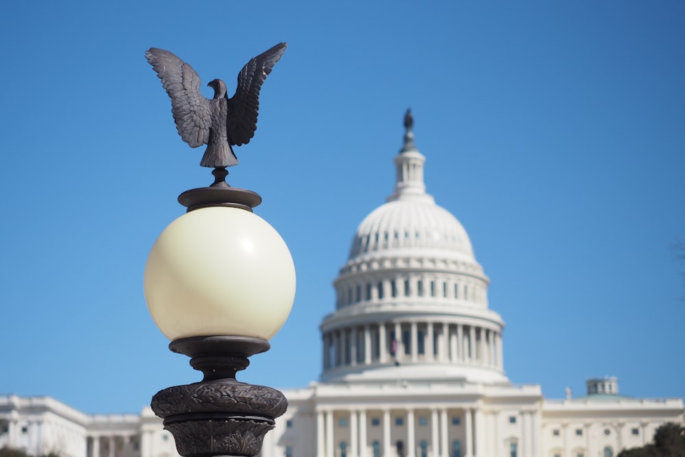 a statue of an eagle on top of a lamp post in front of the capitol