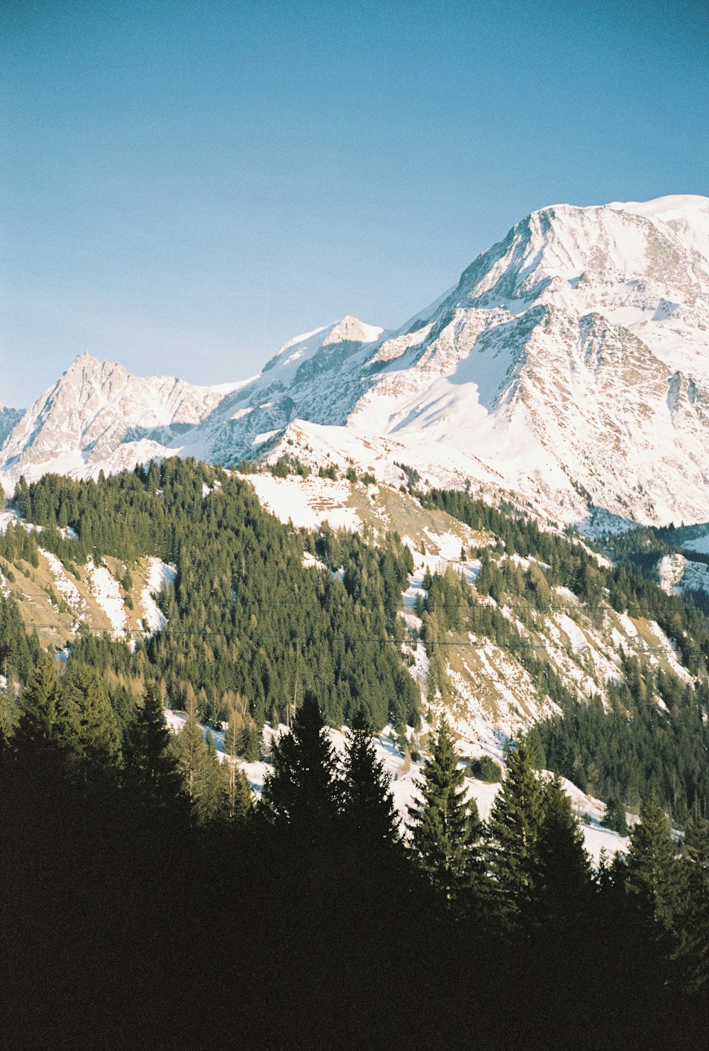 a snow covered mountain with trees in the foreground