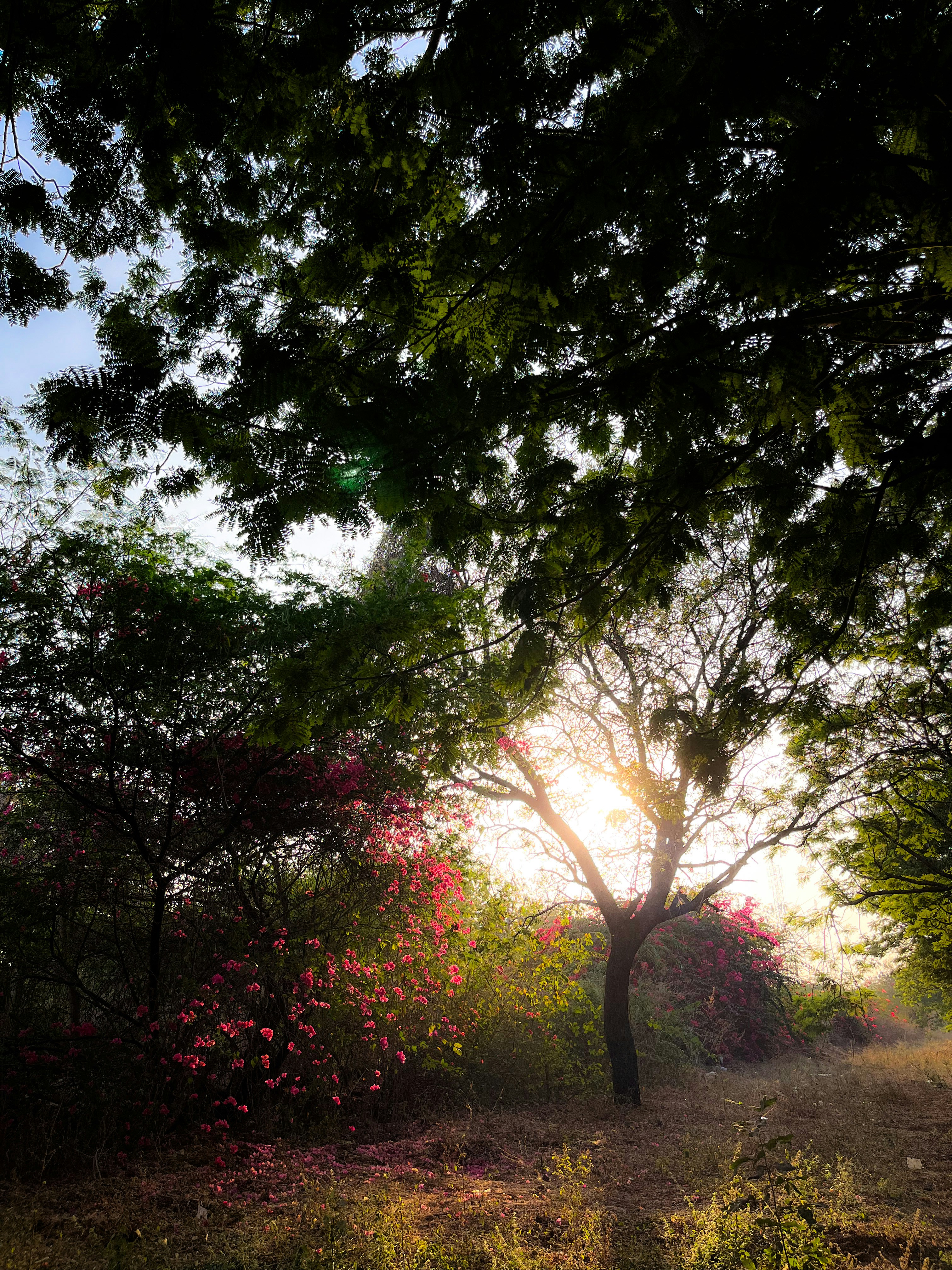 Photo by christyjacobjz