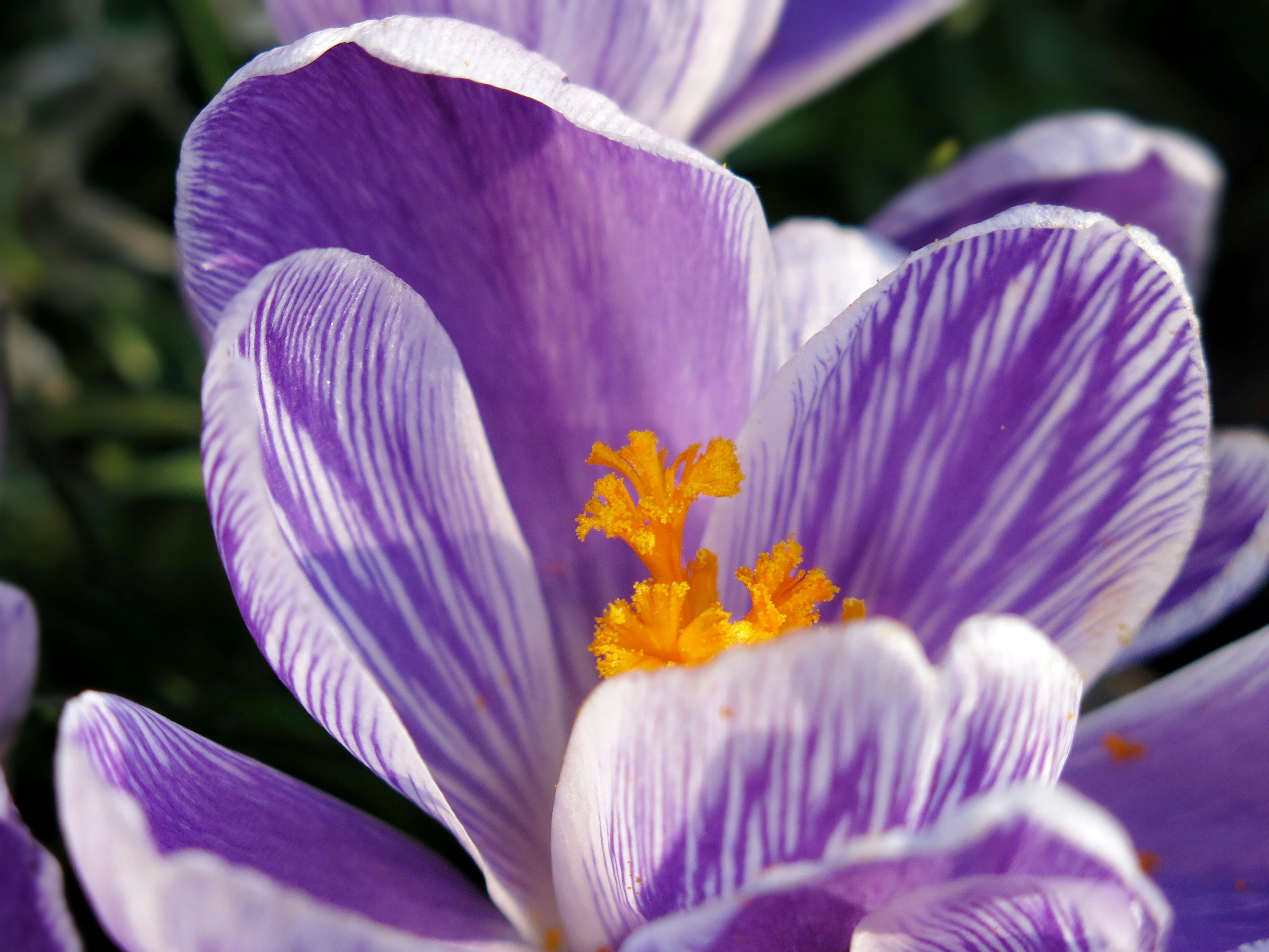 Photo by radfotosonn