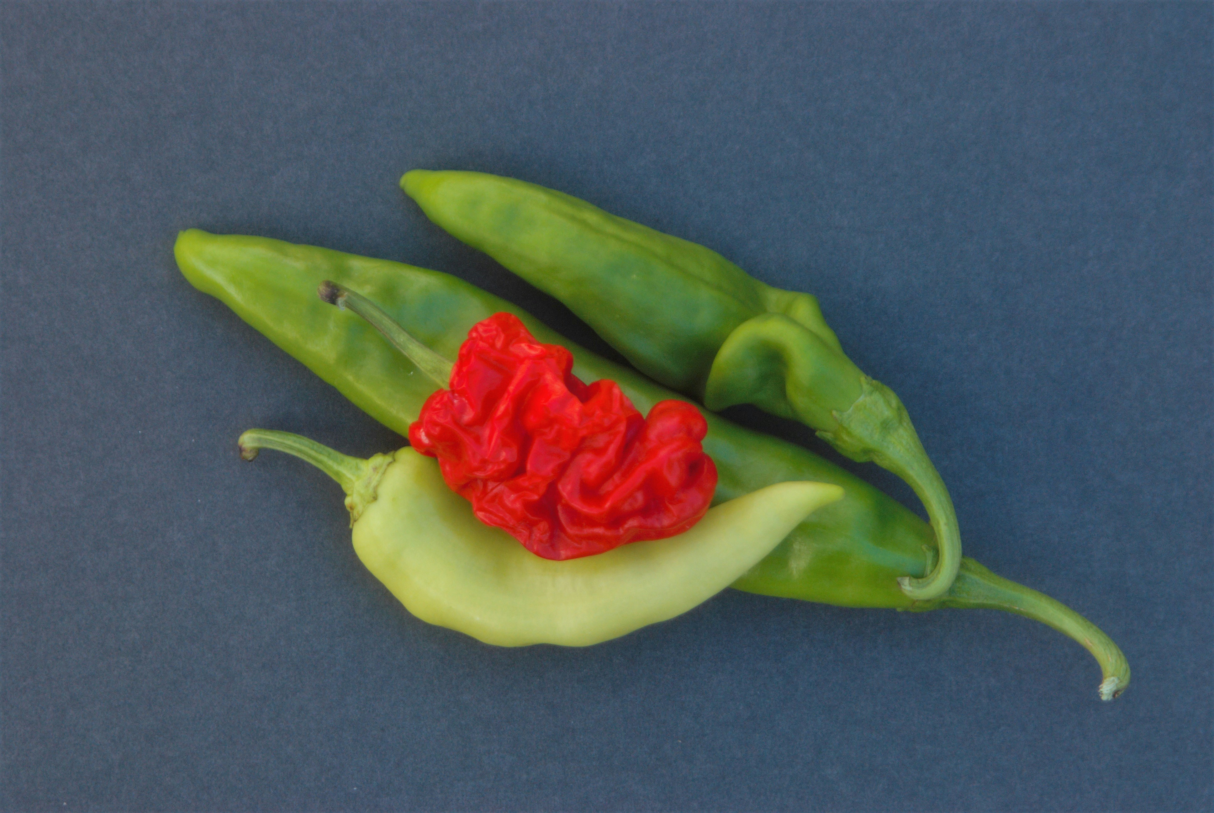 a couple of green peppers sitting on top of a table