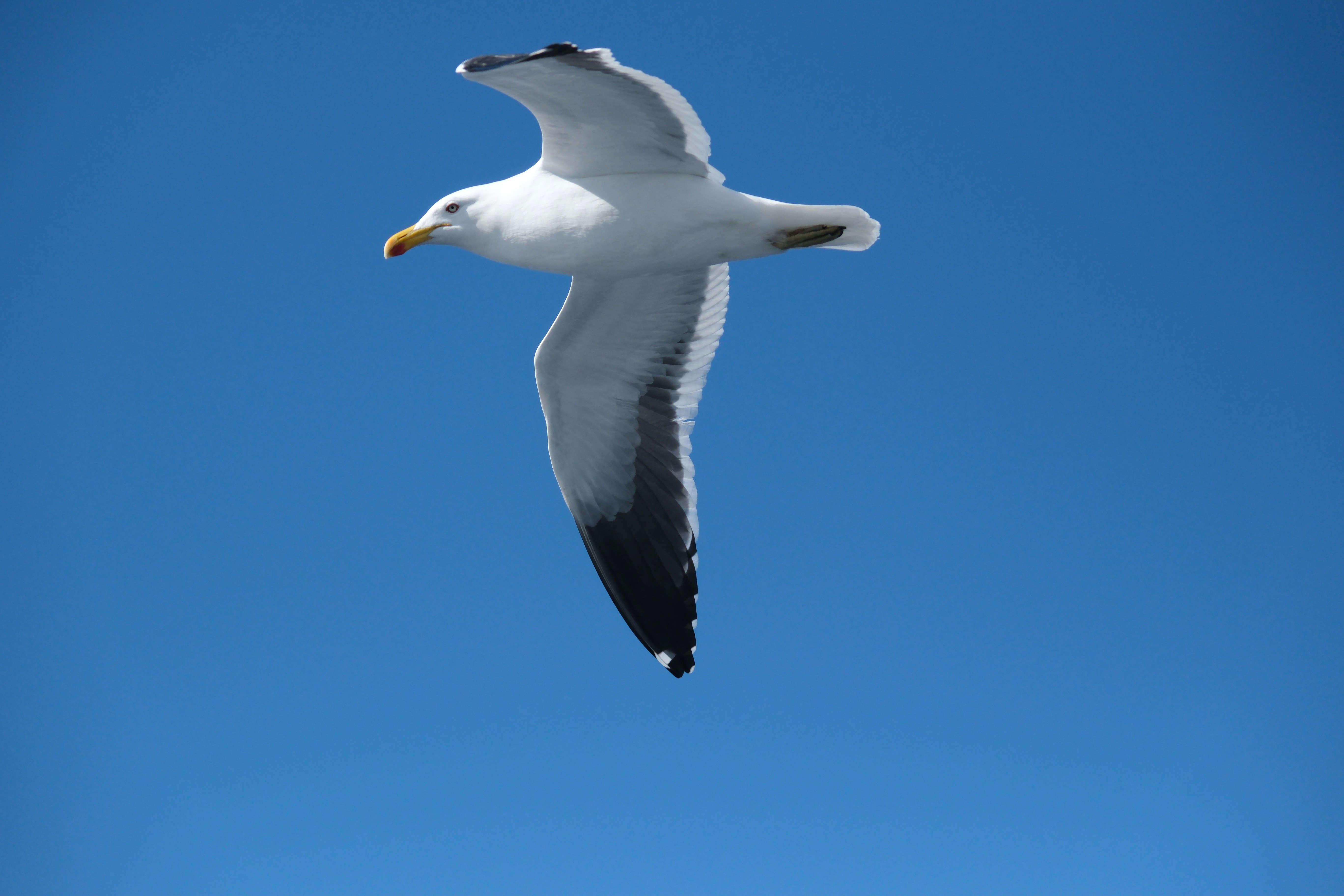 Photo by ismaelezequiel