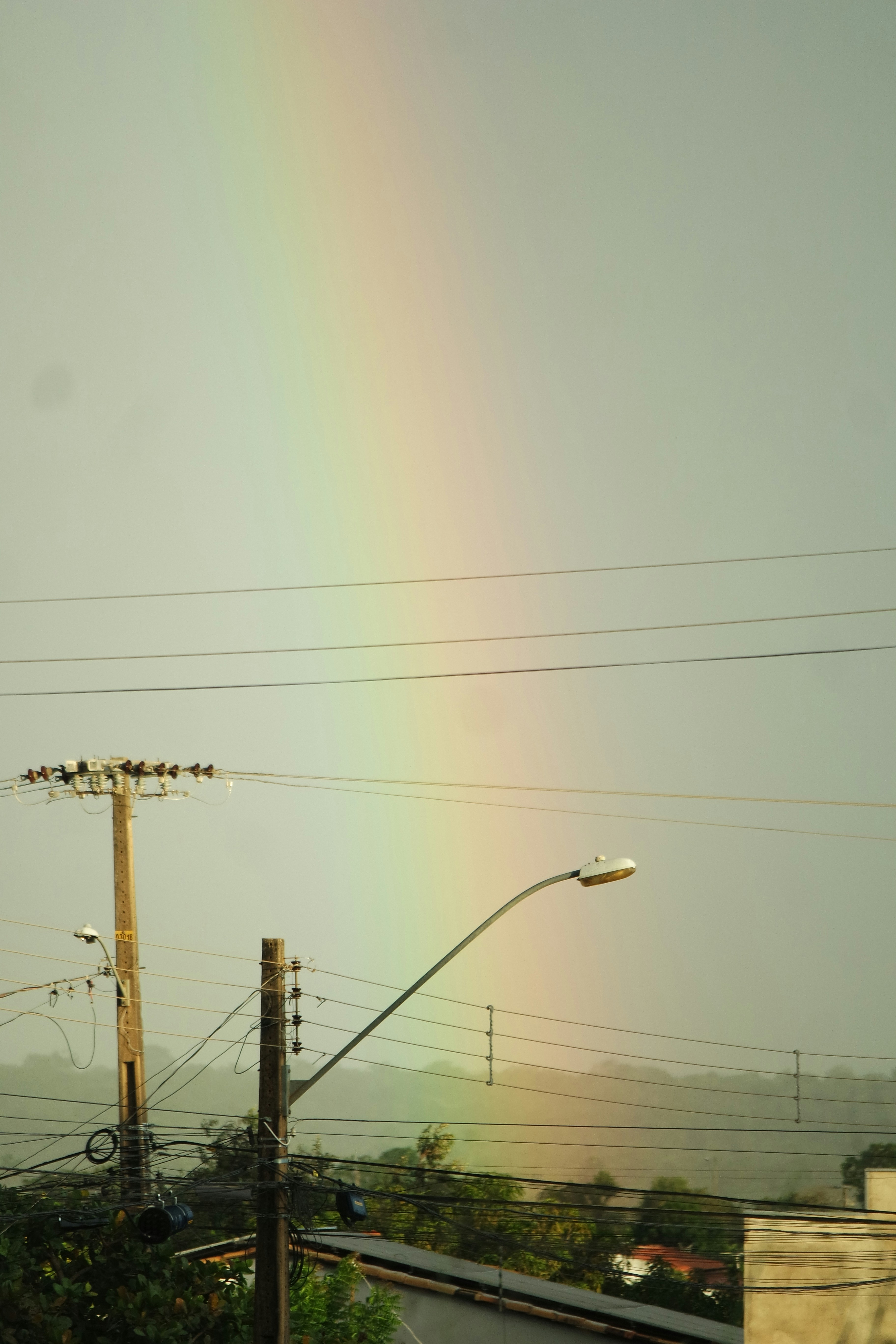 Example of a shopping list layout designed for efficiency.