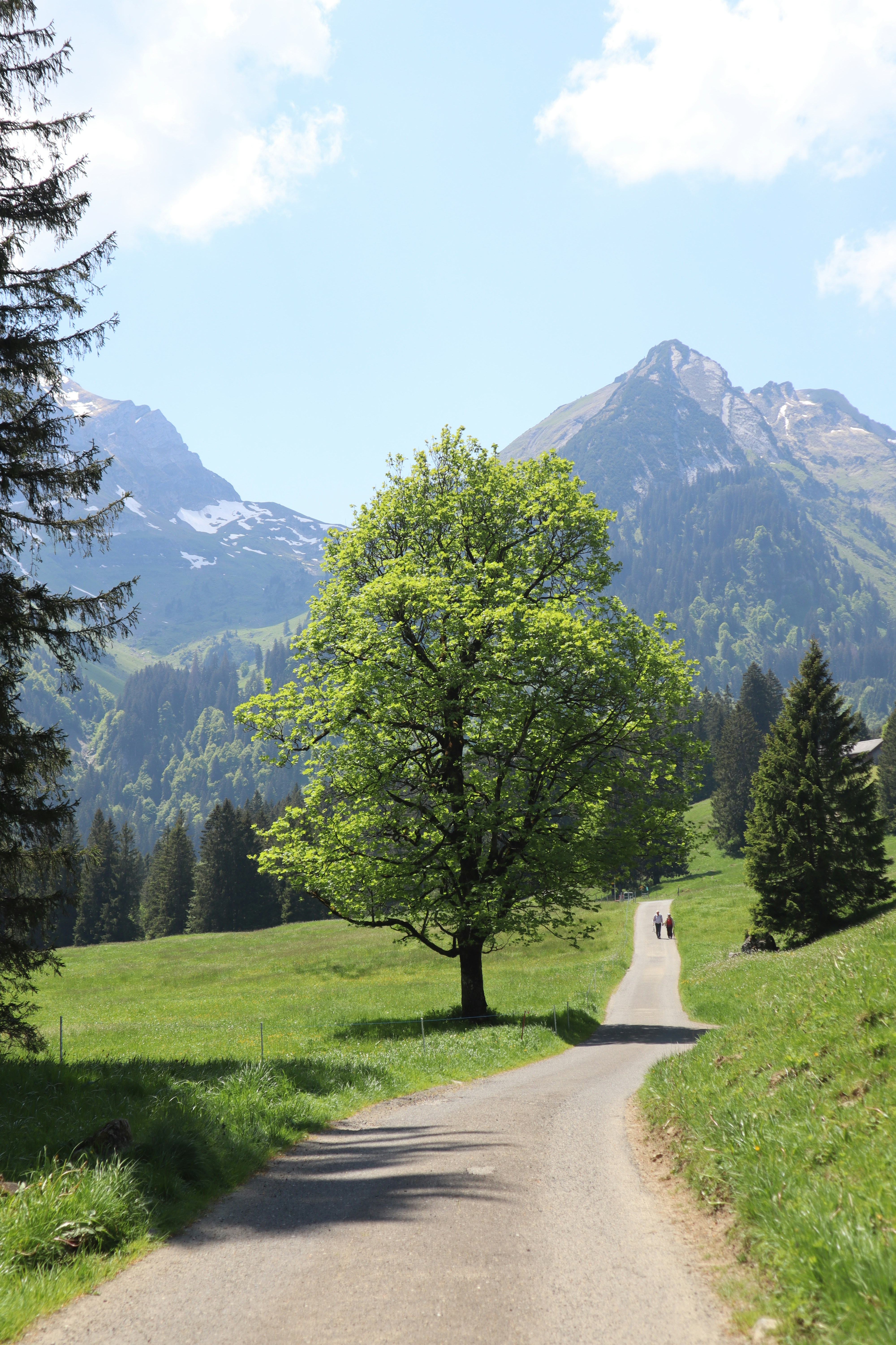 two people walking down a road in the mountains