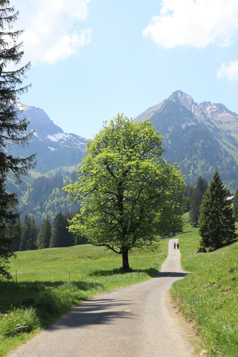 two people walking down a road in the mountains