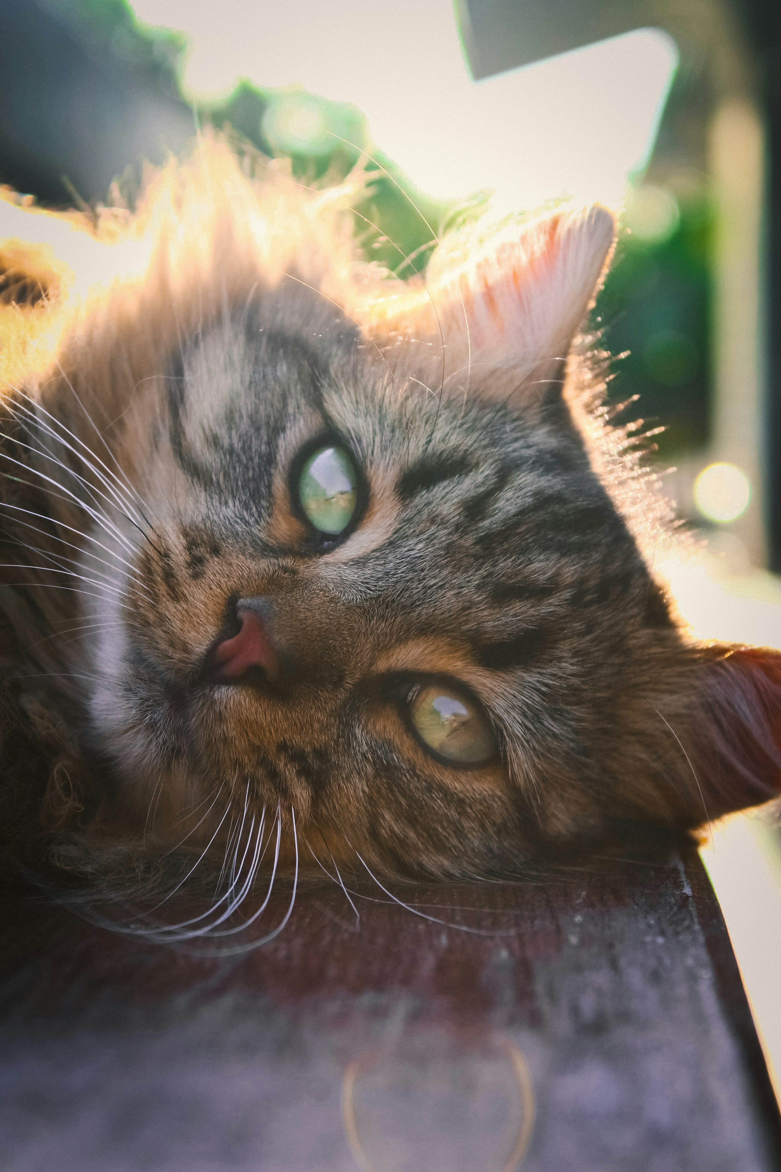 Photo by larisarunova