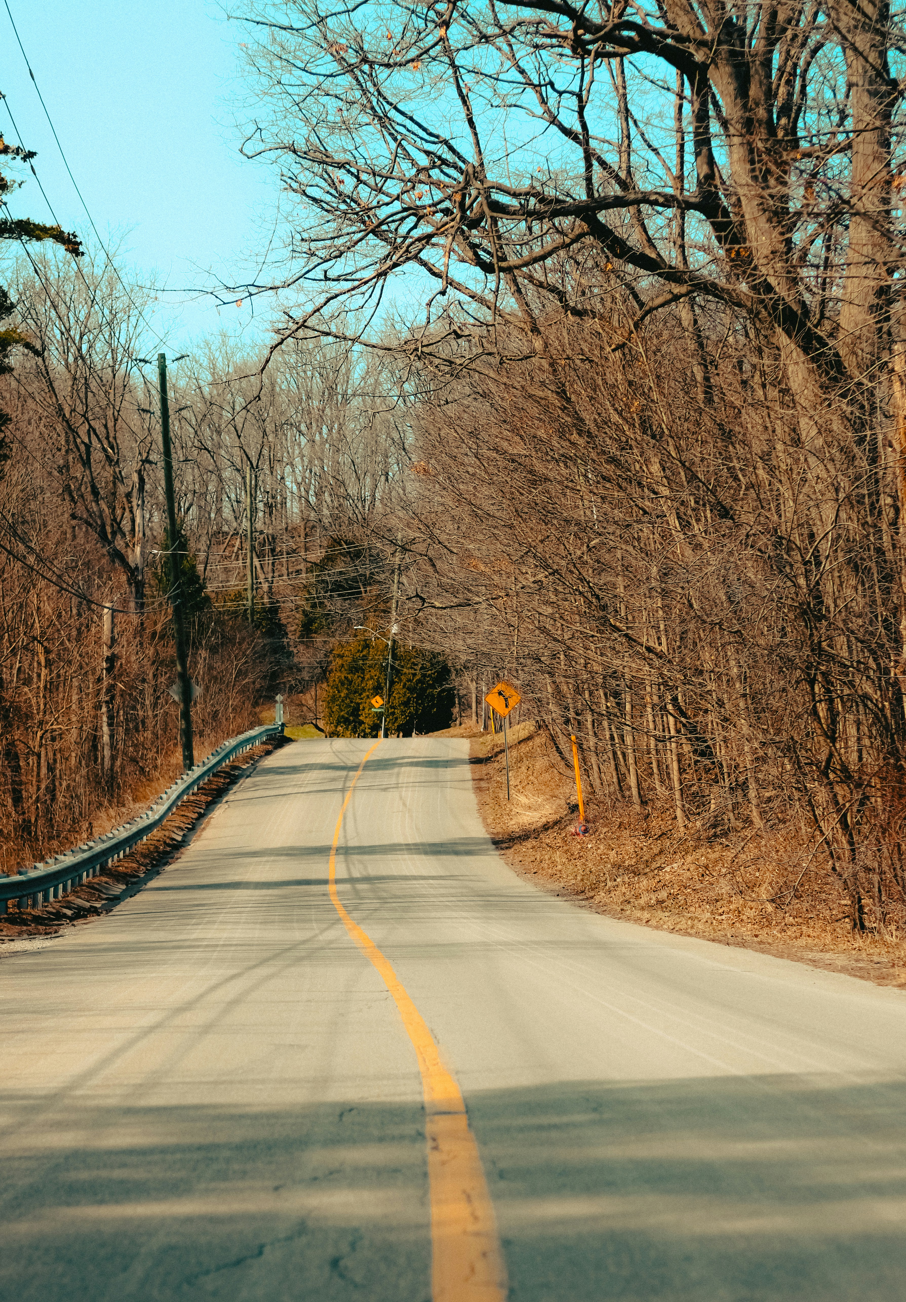 Photo by linusbelanger