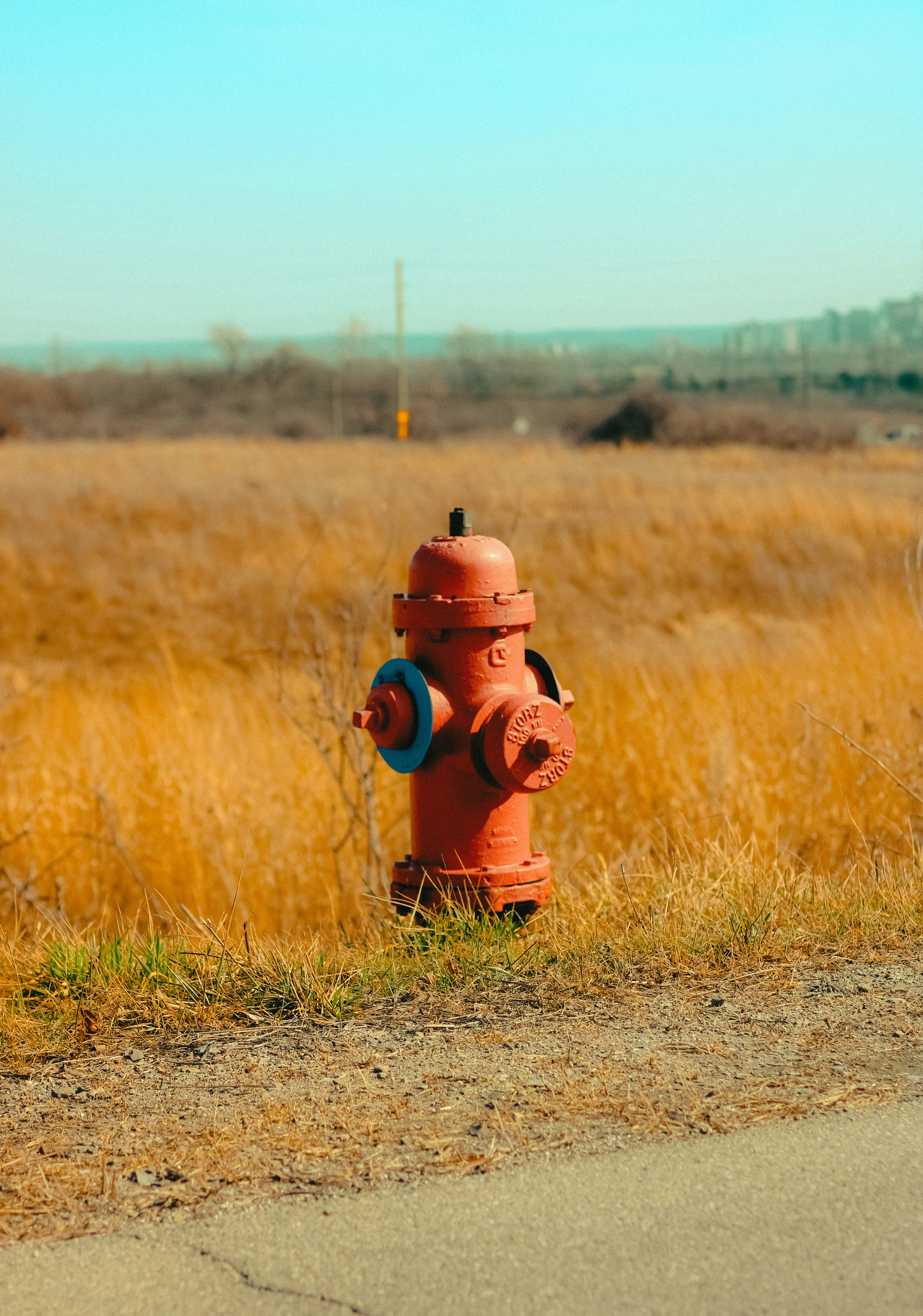 Photo by linusbelanger