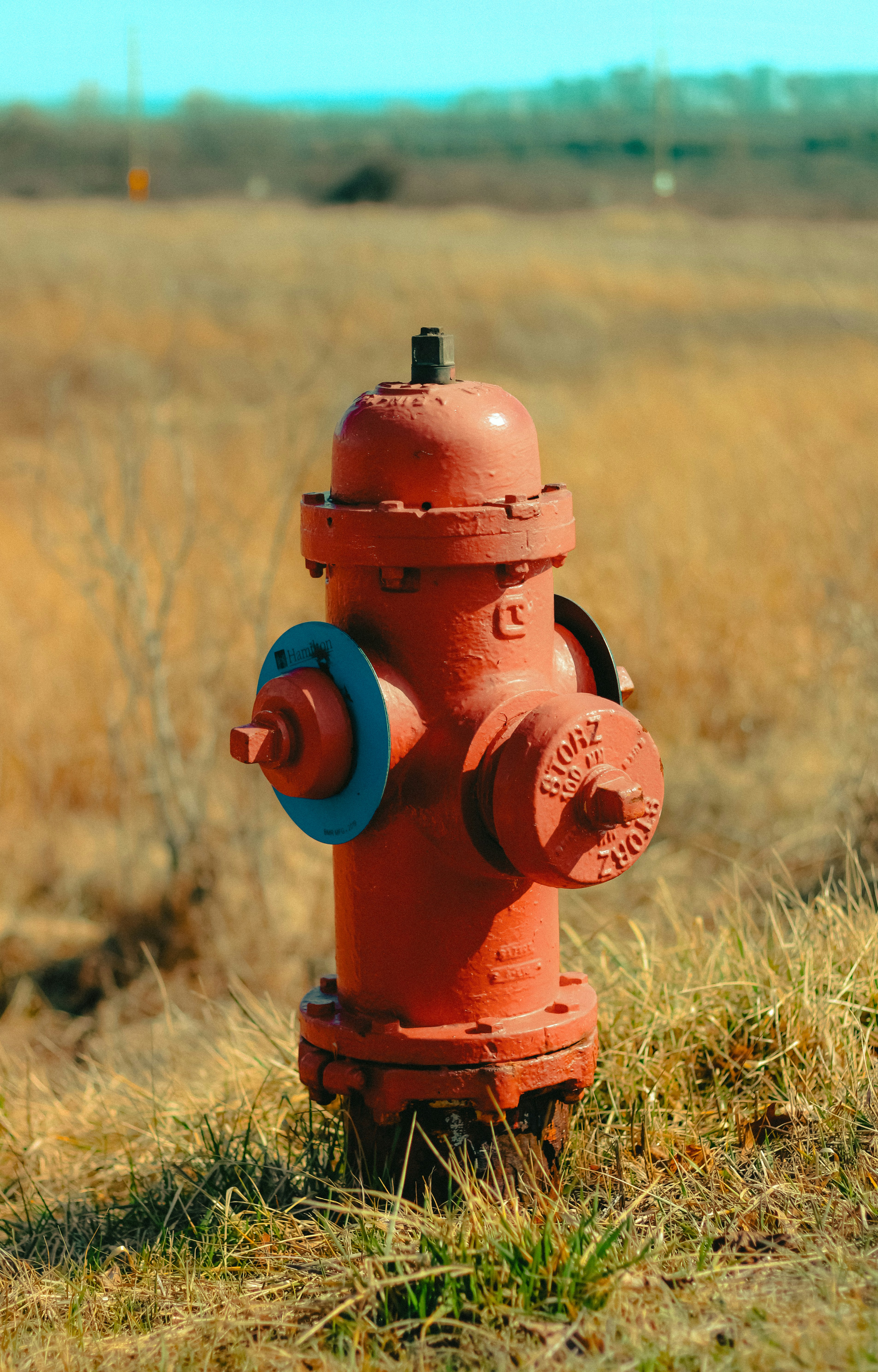 Photo by linusbelanger