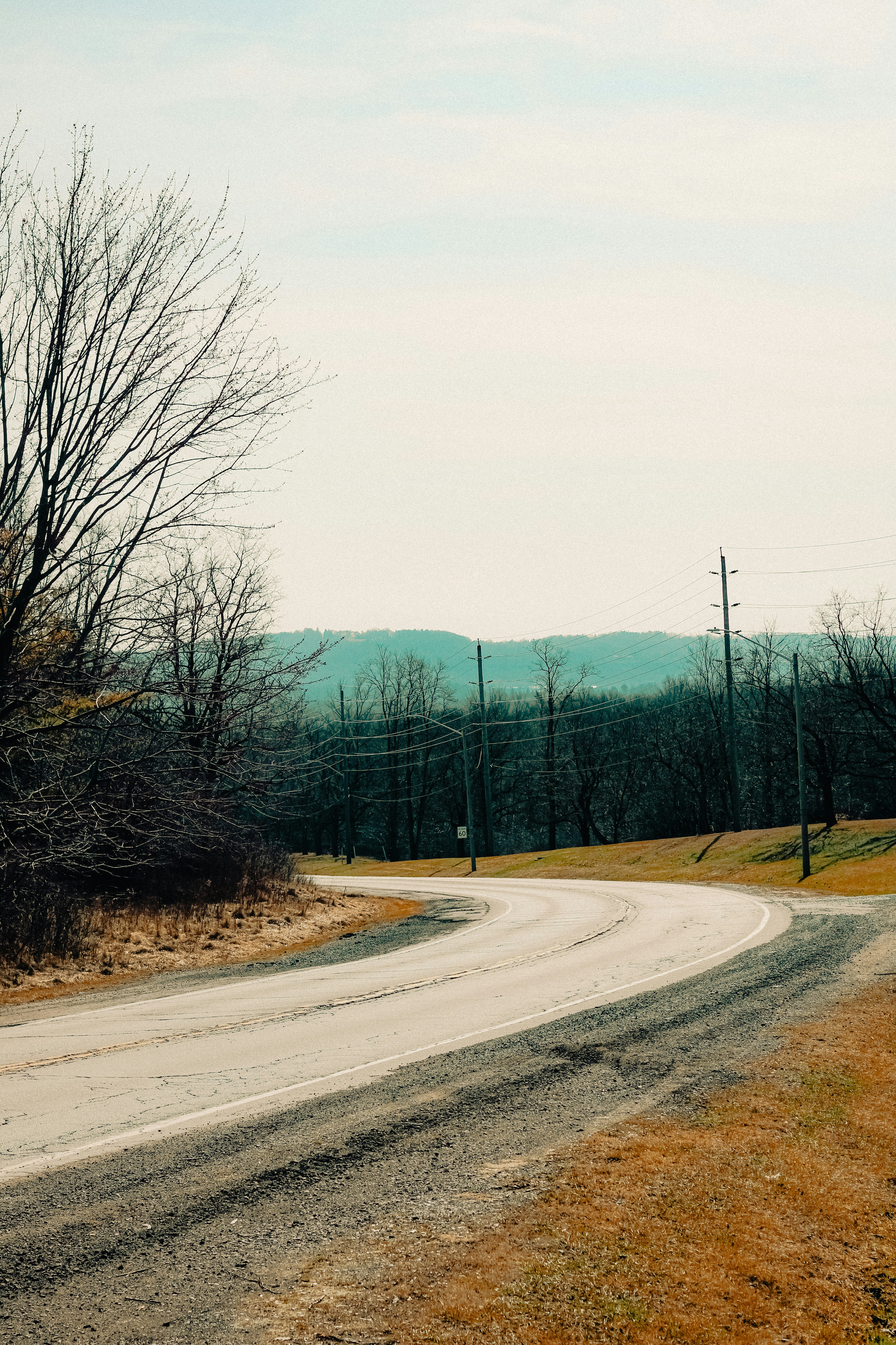 Photo by linusbelanger