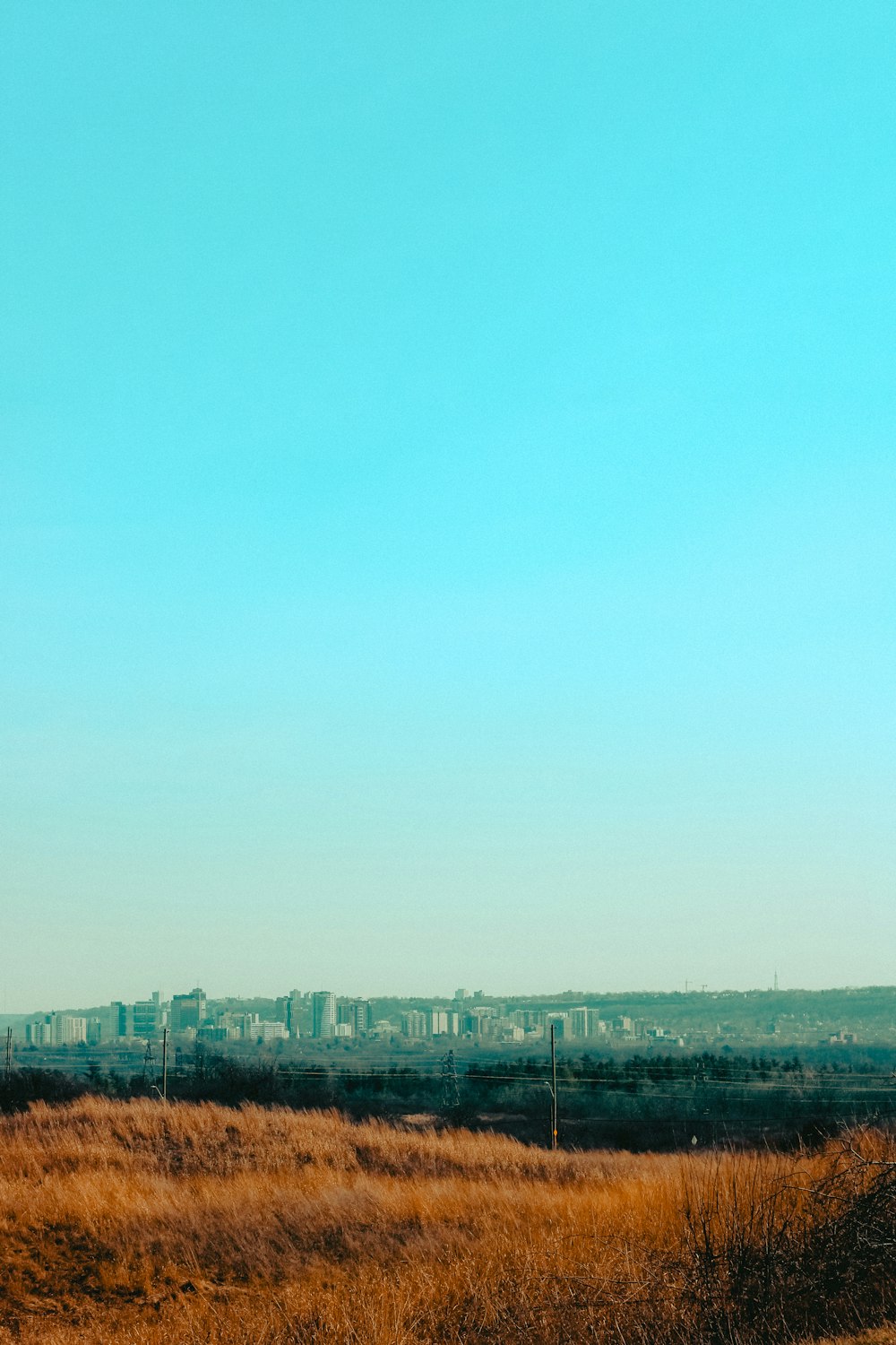 a train traveling through a rural countryside under a blue sky