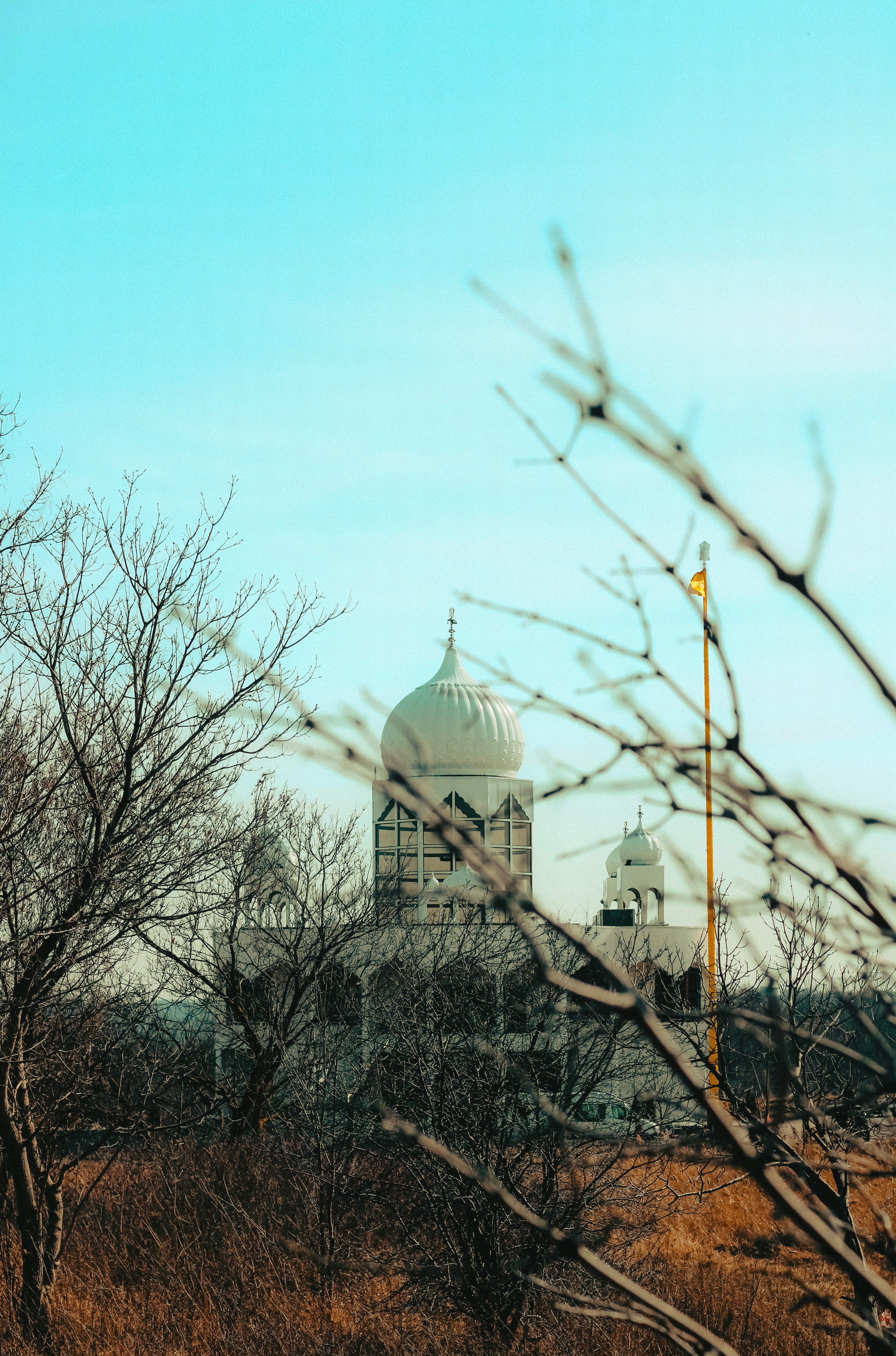 Photo by linusbelanger