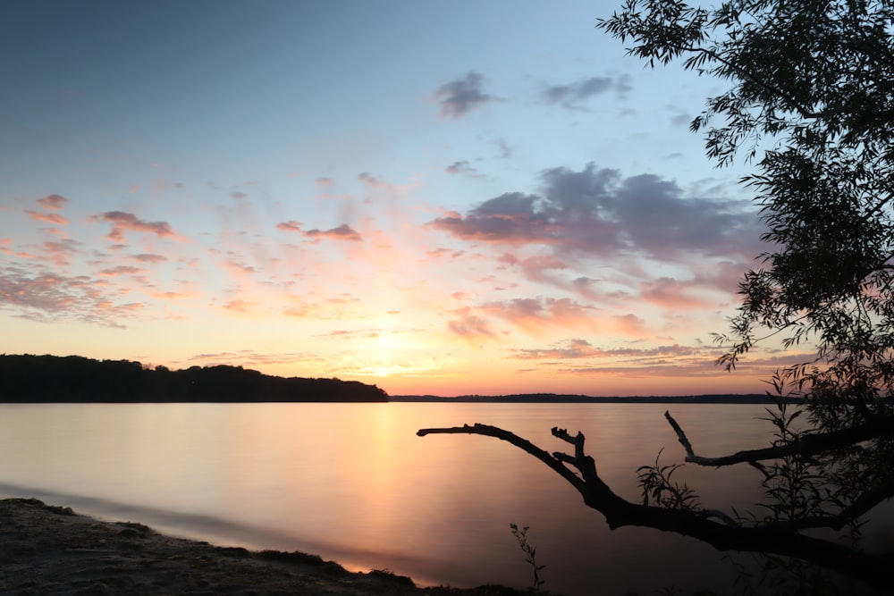 a sunset over a lake with a tree branch in the foreground