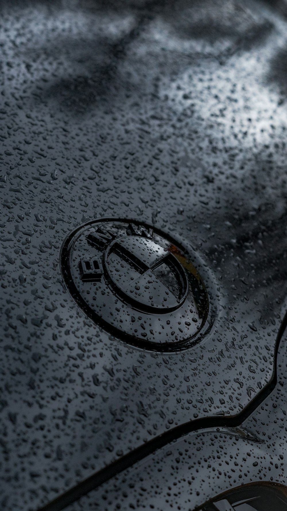 Eine Nahaufnahme des Emblems eines Autos auf einer nassen Oberfläche