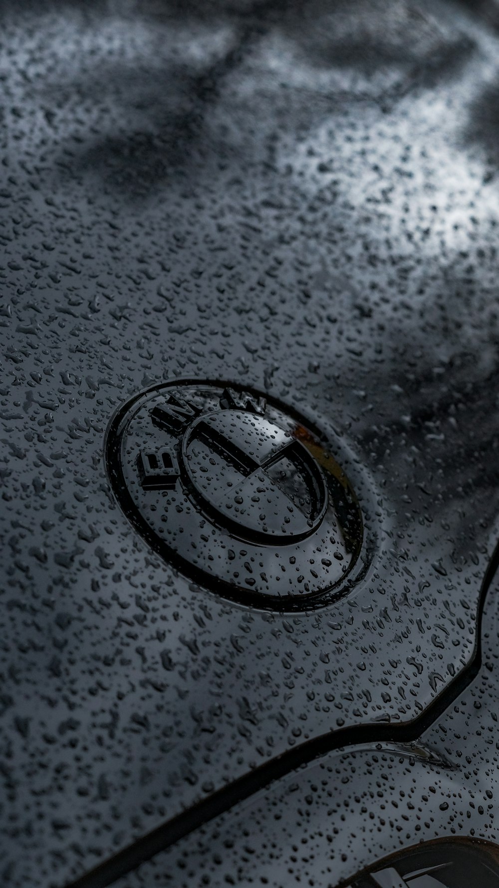 a close up of a car's emblem on a wet surface