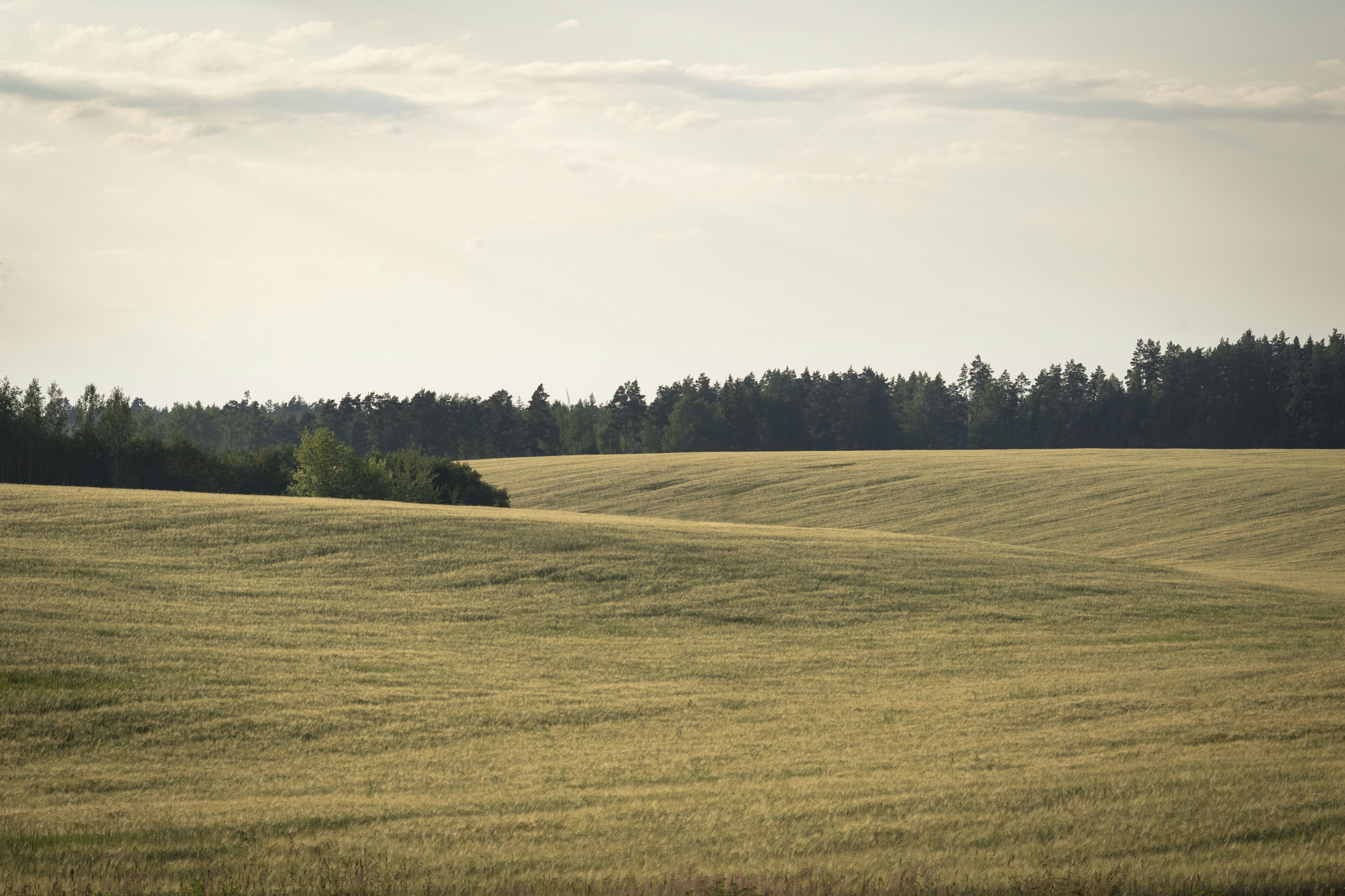 Photo by darkmoon_afa